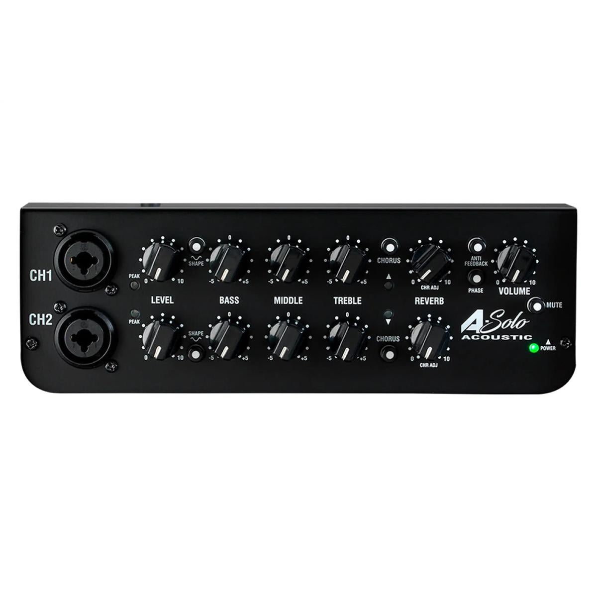 Laney A-Solo 60W acoustic guitar amplifier, close view of the two-channel controls
