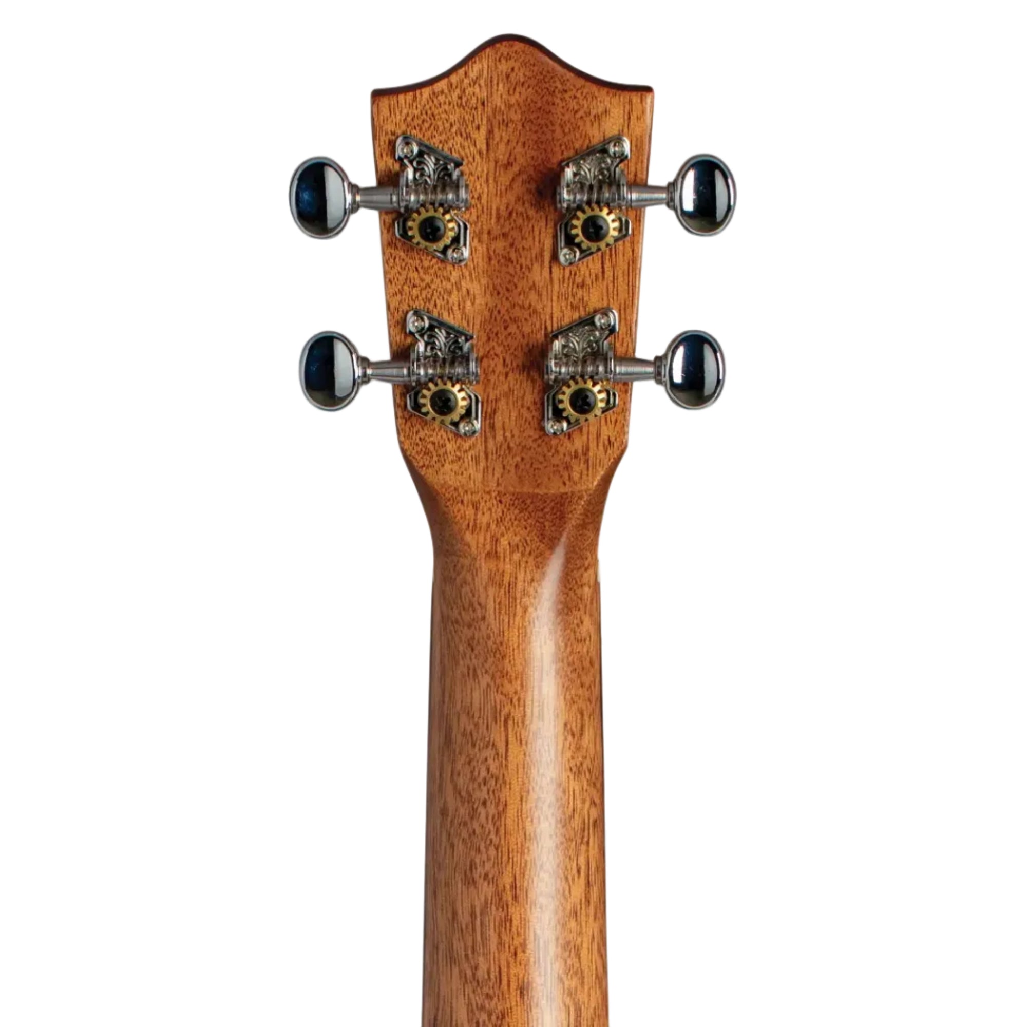 Lanikai-Oak-Tenor-Ukulele3 | Terry Carter Music Store