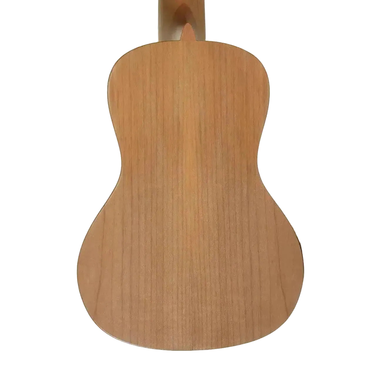 MAC-4-3 | Terry Carter Music Store