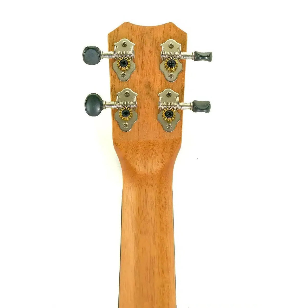 MAC-4-6 | Terry Carter Music Store
