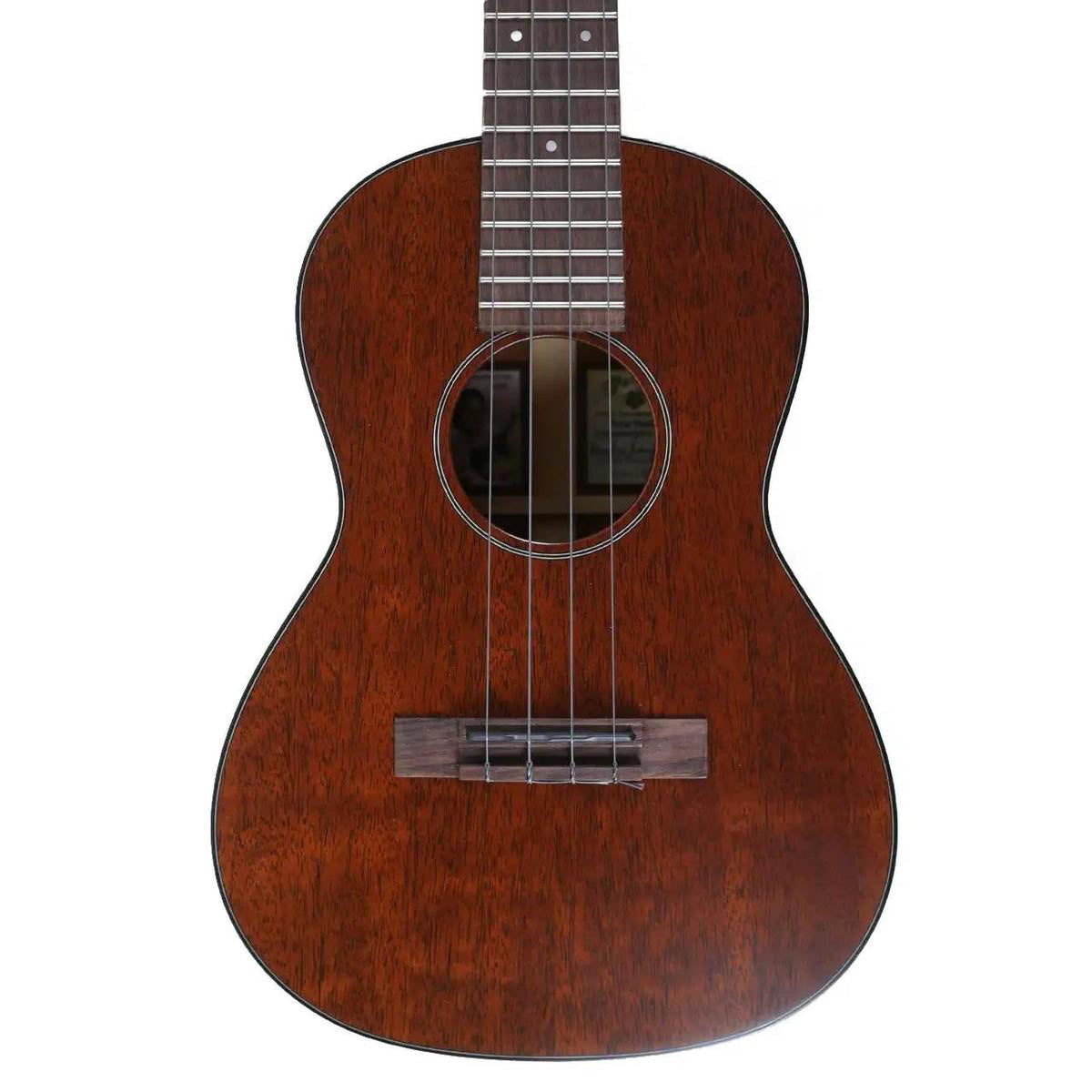 MARTIN_1T_IZ_1_1 | Terry Carter Music Store