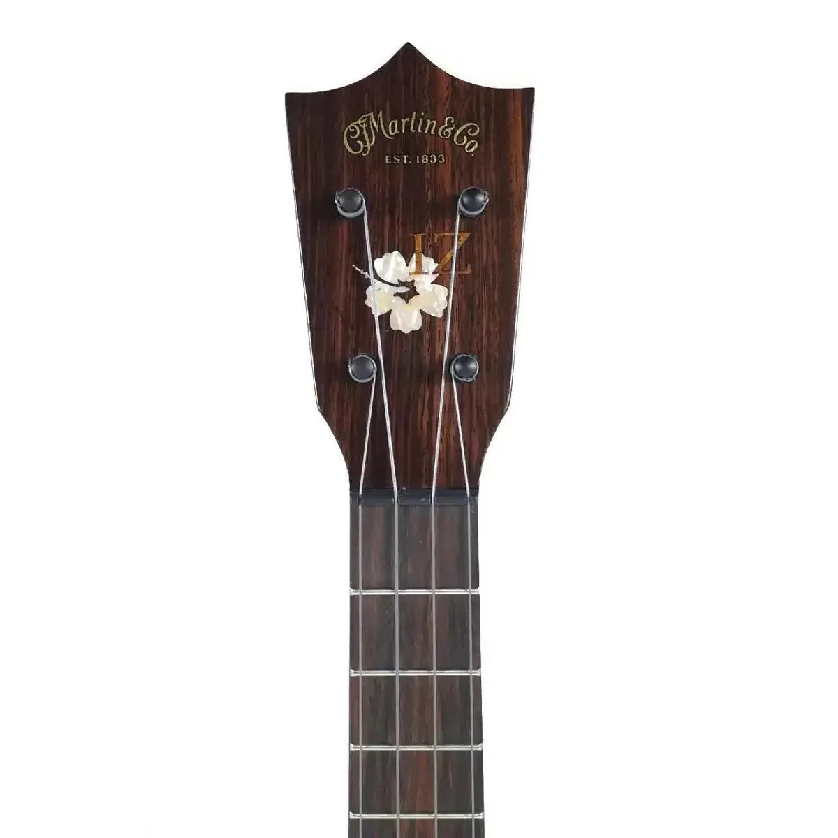 MARTIN_1T_IZ_2_2 | Terry Carter Music Store