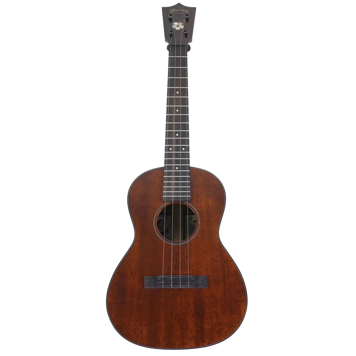 MARTIN_1T_IZ_2_5 | Terry Carter Music Store