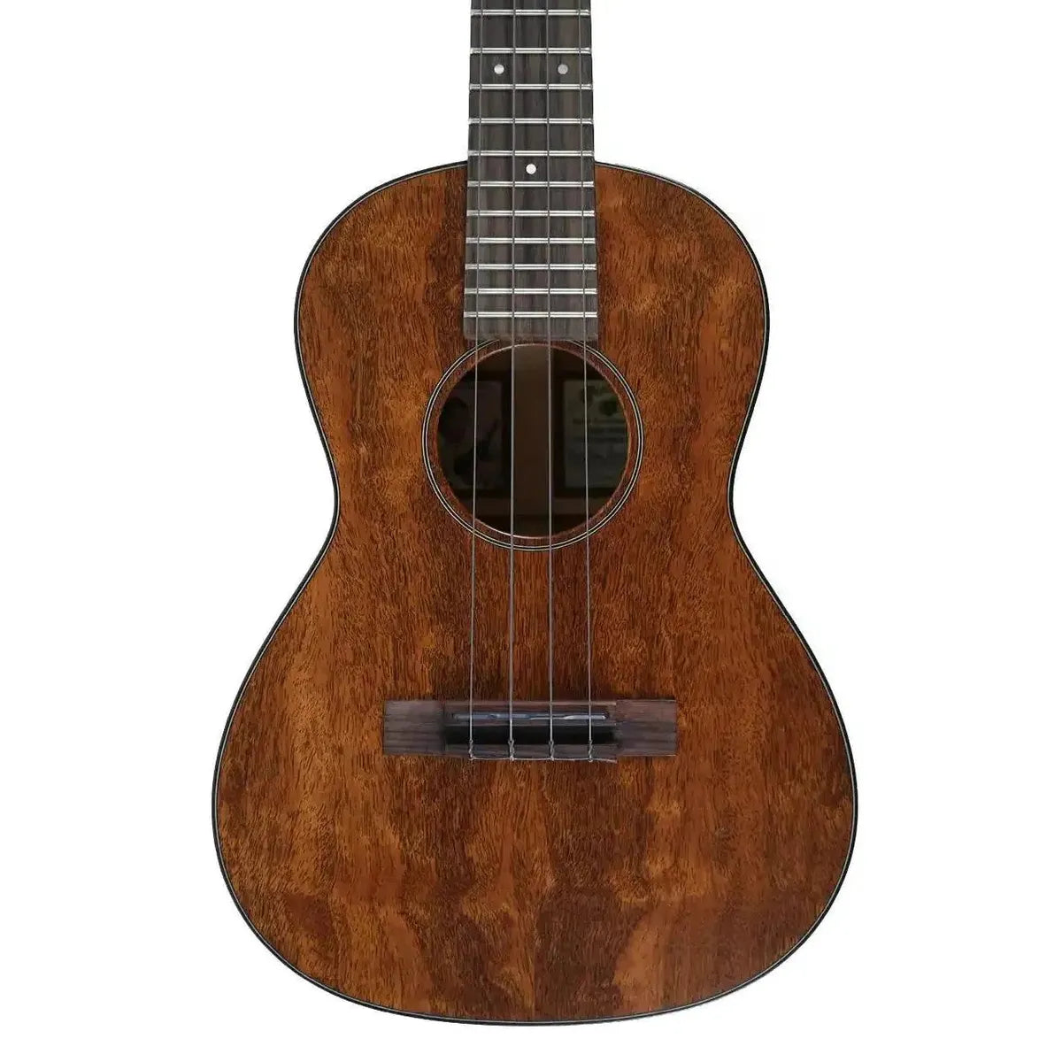 MARTIN_1T_IZ_3_1_c52185d6-900a-4f47-a2f8-ecc40671da0b | Terry Carter Music Store