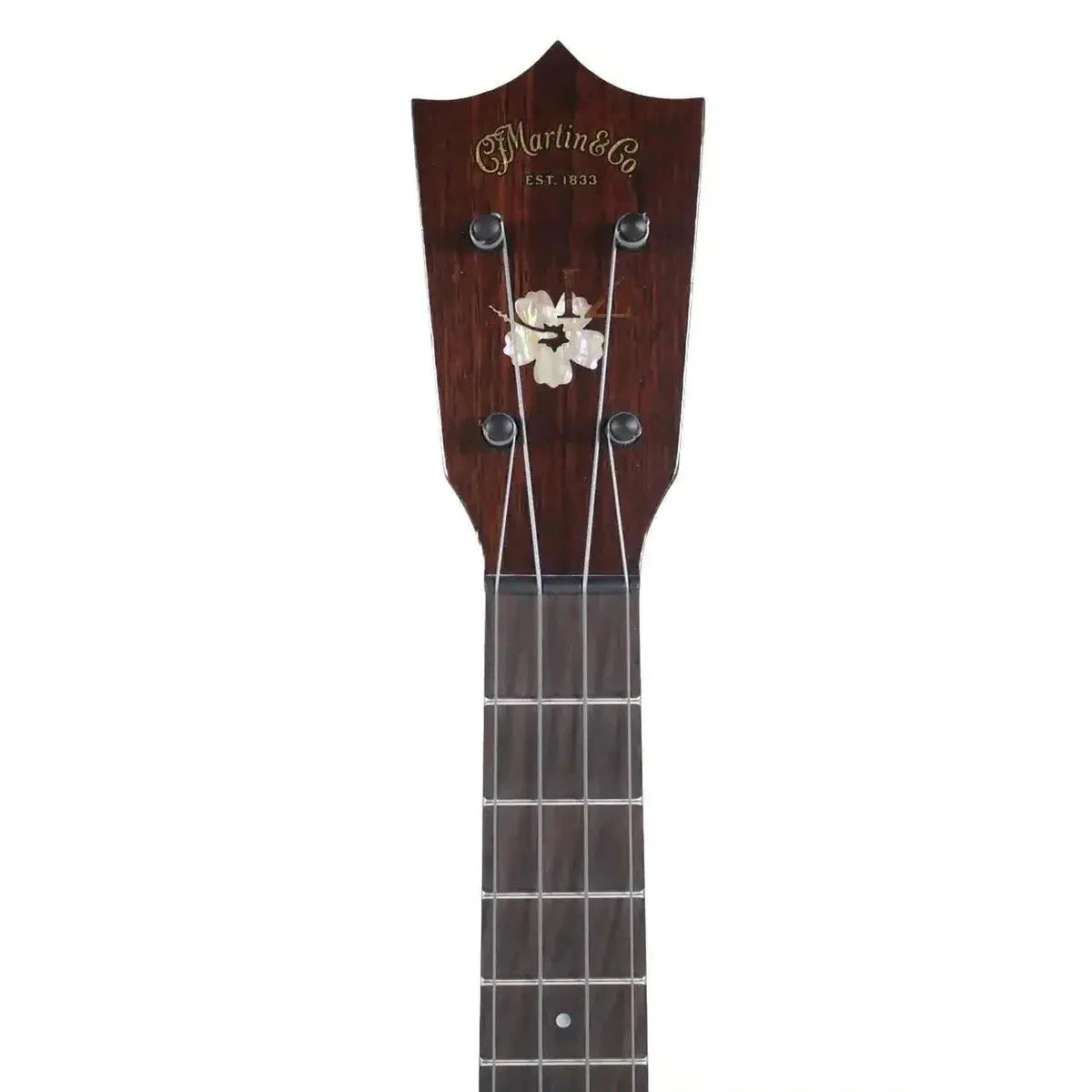 MARTIN_1T_IZ_3_2 | Terry Carter Music Store