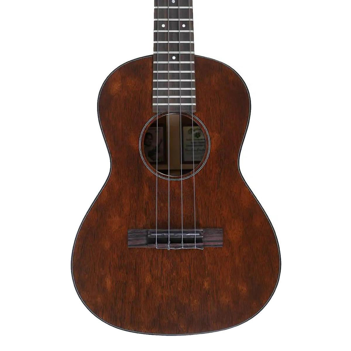 MARTIN_1T_IZ_4_1 | Terry Carter Music Store