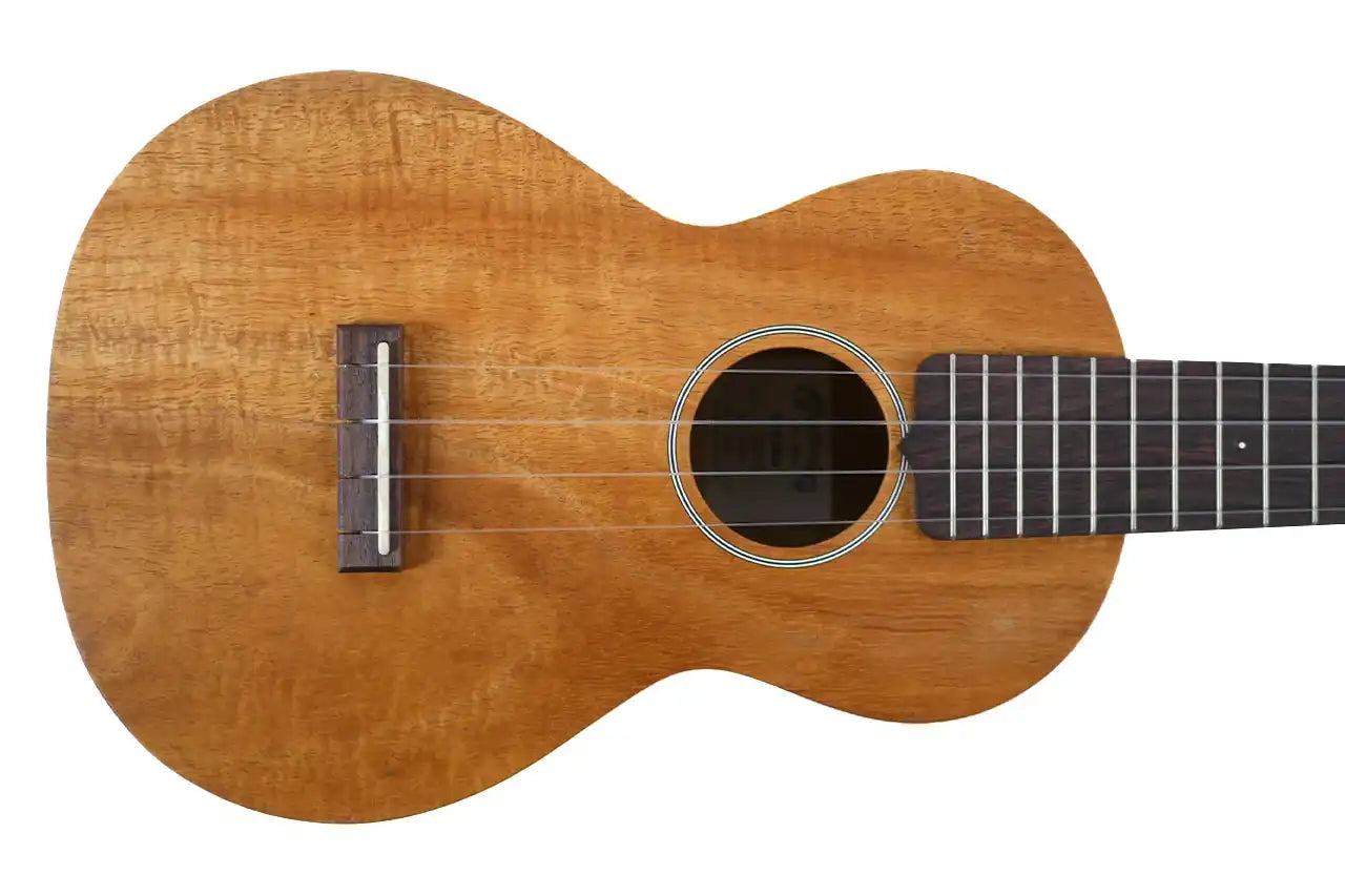 MARTIN_C1KUKE_1 | Terry Carter Music Store