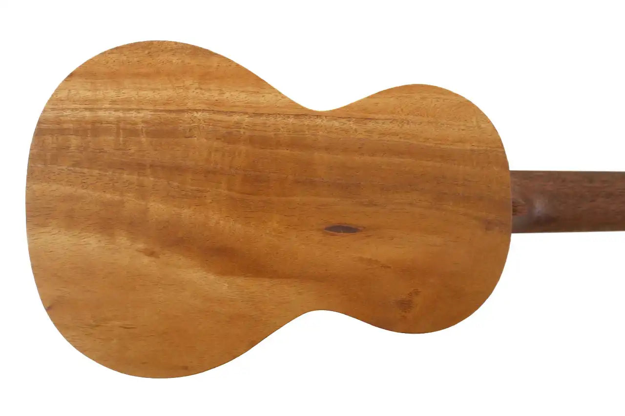 MARTIN_C1KUKE_3 | Terry Carter Music Store