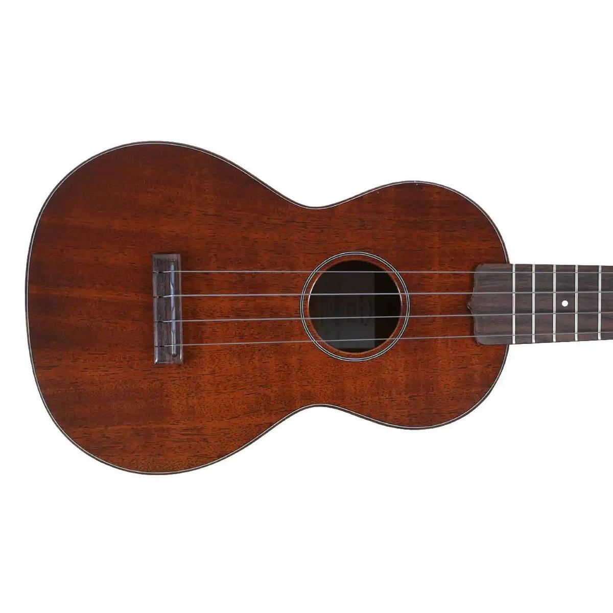 MARTIN_CENTENNIAL1_1_1 | Terry Carter Music Store