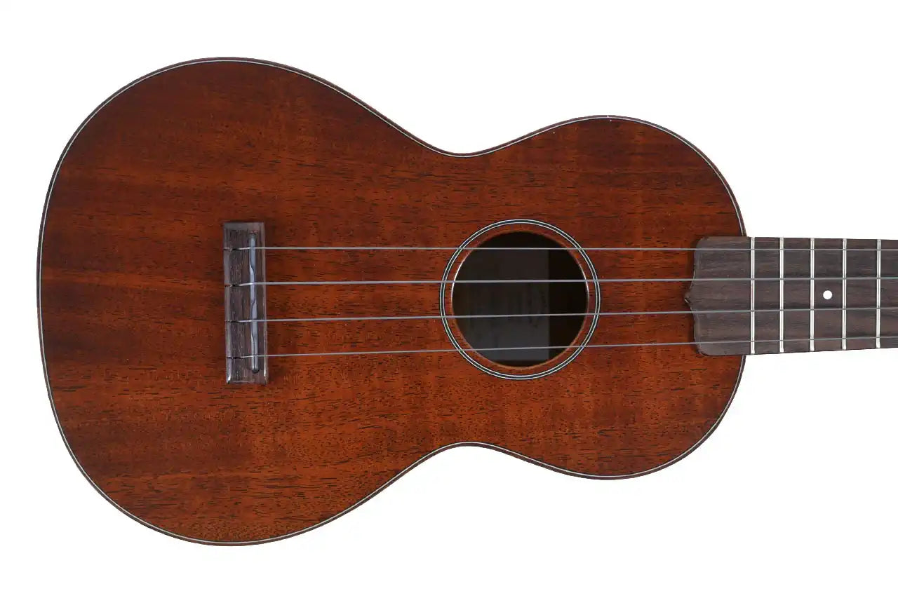 MARTIN_CENTENNIAL1_1_1 | Terry Carter Music Store