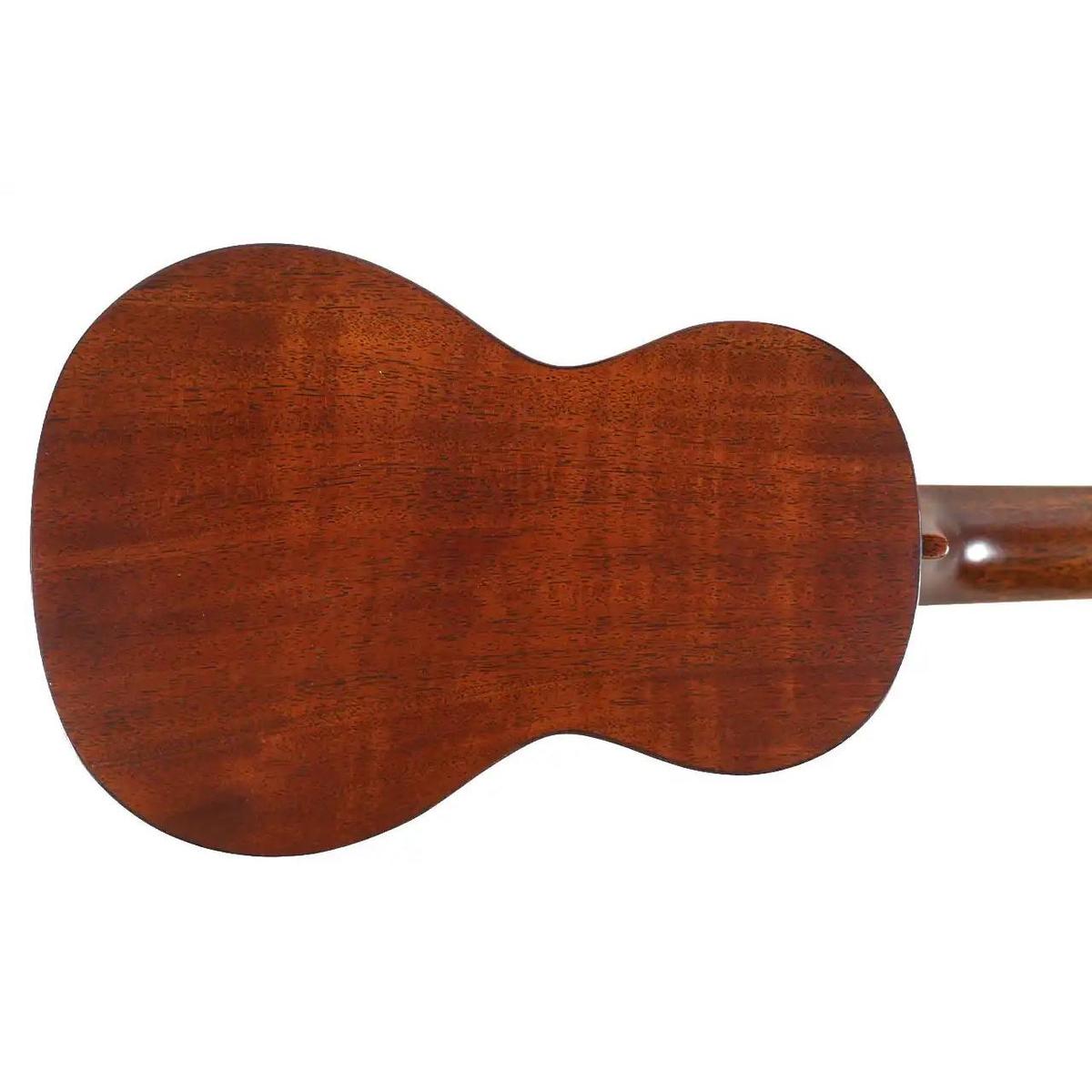 MARTIN_CENTENNIAL1_1_2 | Terry Carter Music Store