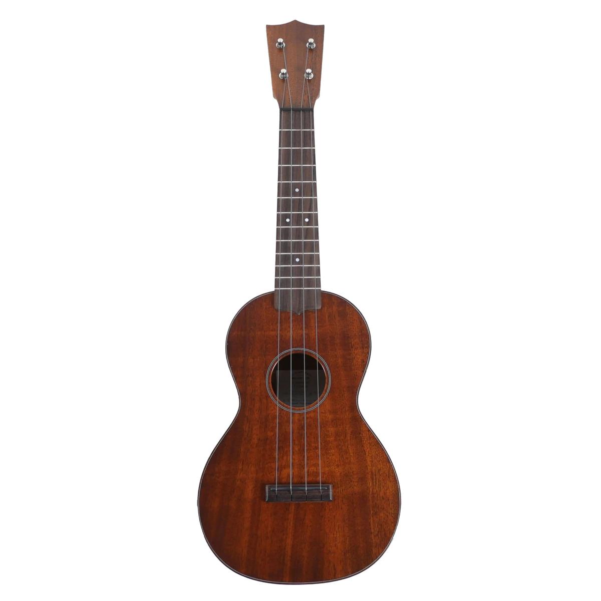 MARTIN_CENTENNIAL1_1_3 | Terry Carter Music Store