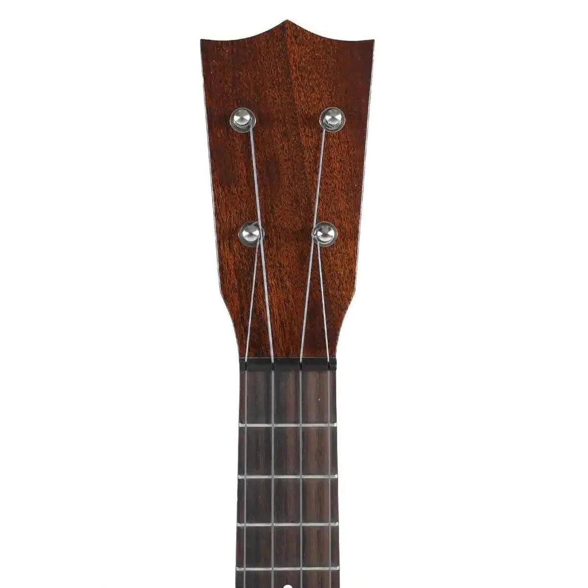MARTIN_CENTENNIAL_1__2_2 | Terry Carter Music Store