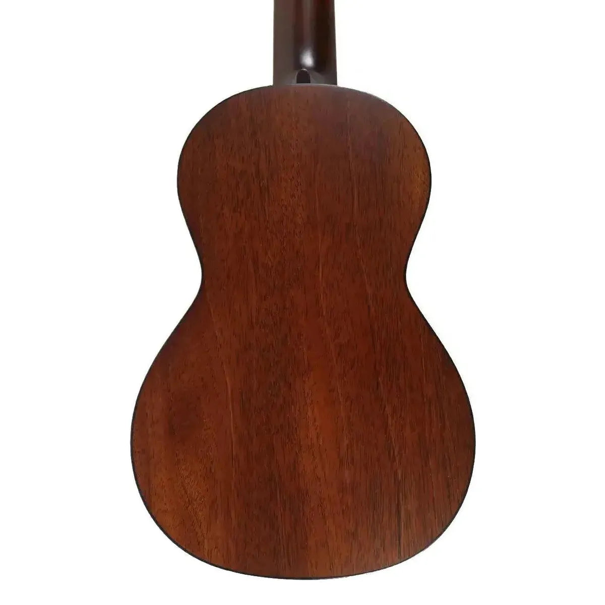 MARTIN_CENTENNIAL_1__2_3 | Terry Carter Music Store