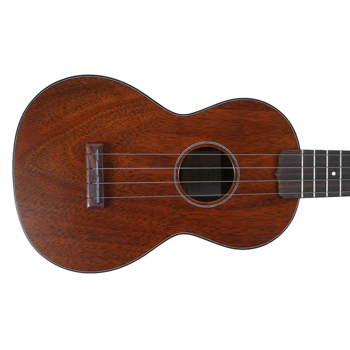 MARTIN_CENTENNIAL_1__3_1 | Terry Carter Music Store