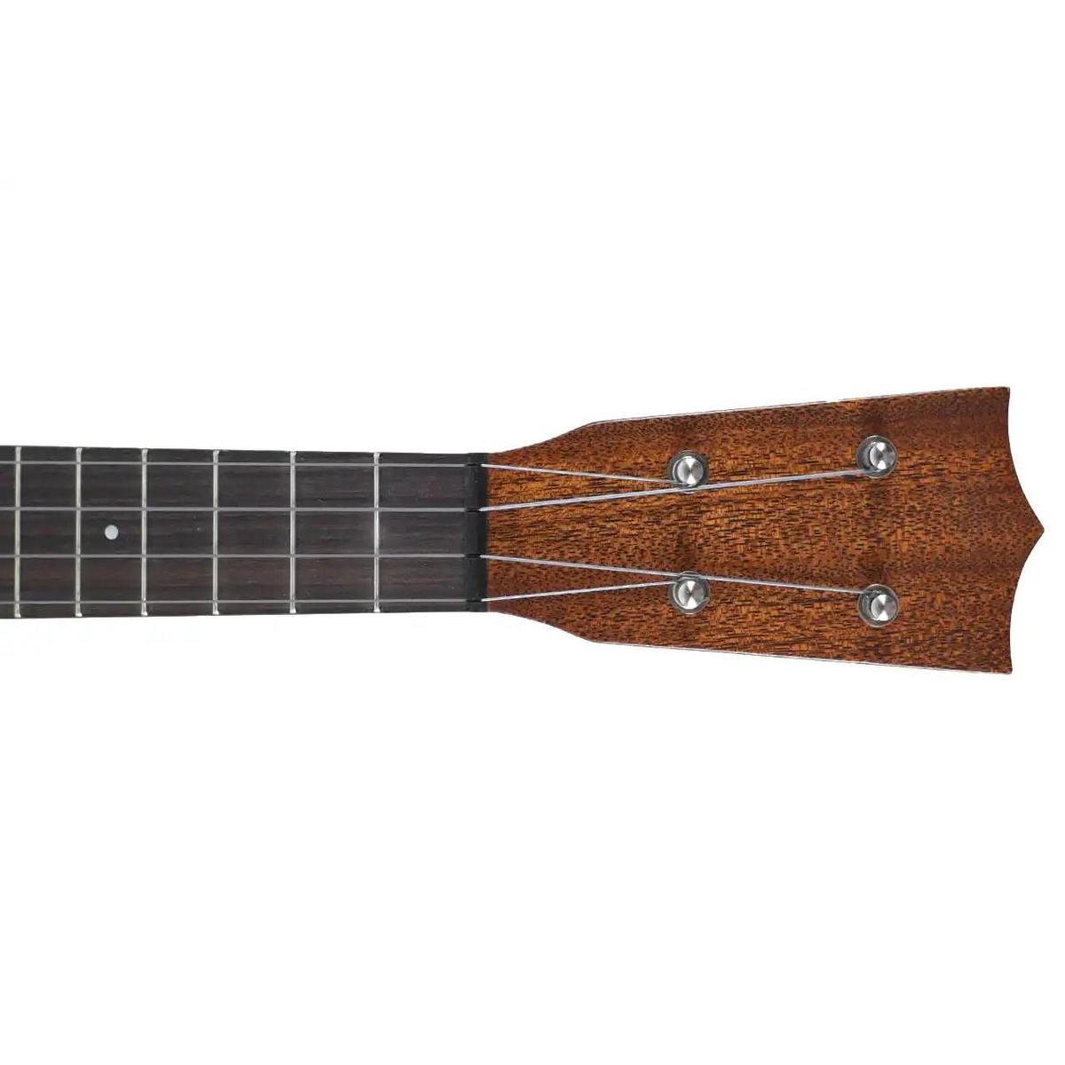 MARTIN_CENTENNIAL_1__3_2 | Terry Carter Music Store