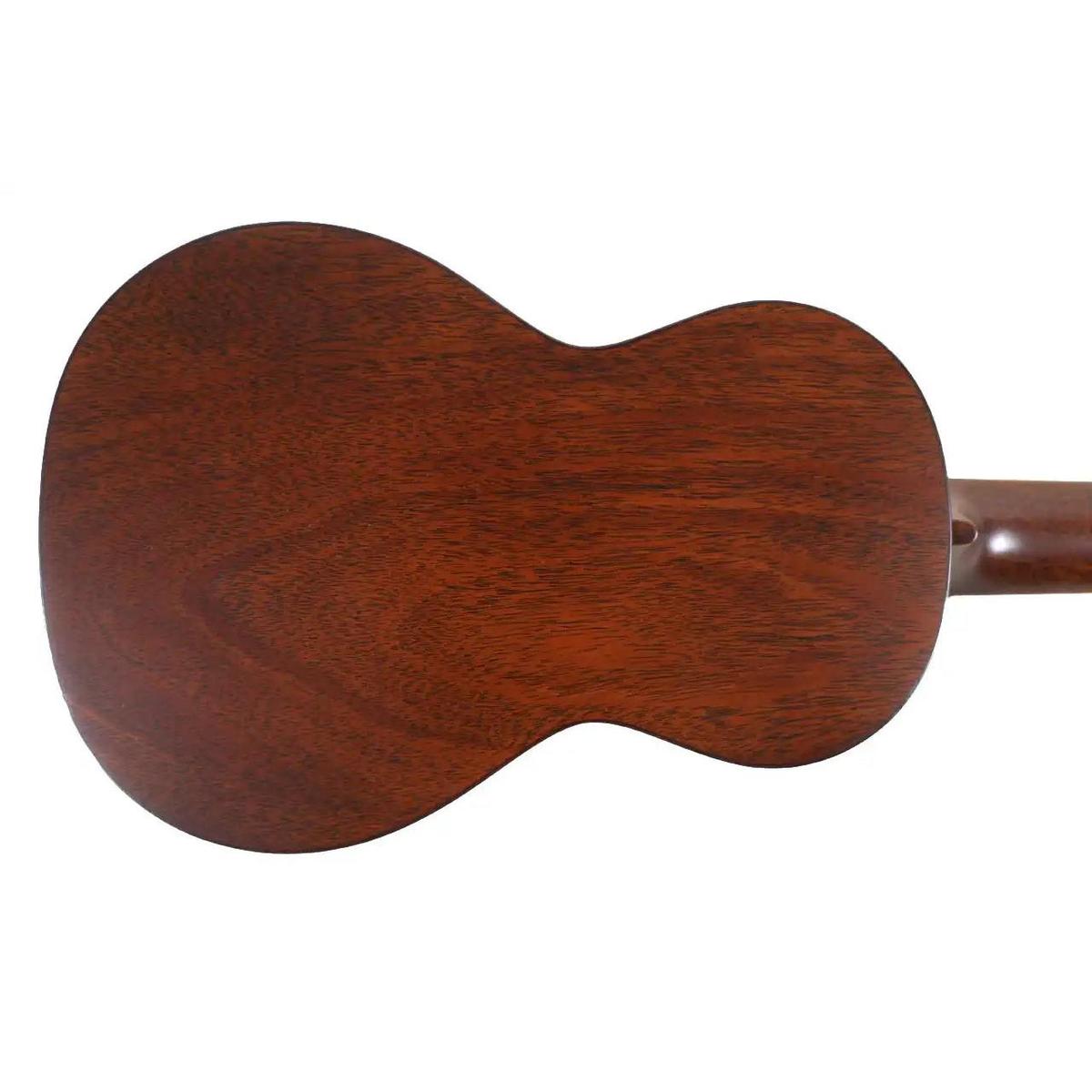 MARTIN_CENTENNIAL_1__3_3 | Terry Carter Music Store