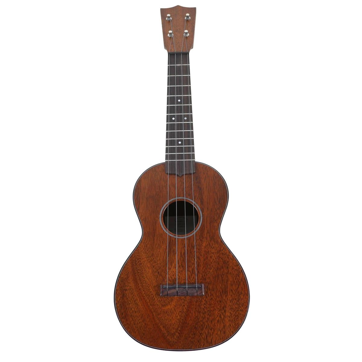 MARTIN_CENTENNIAL_1__3_5 | Terry Carter Music Store