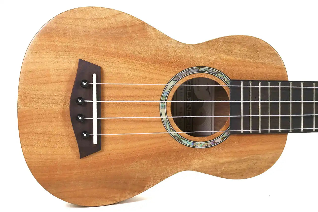 MAS-4-1 | Terry Carter Music Store