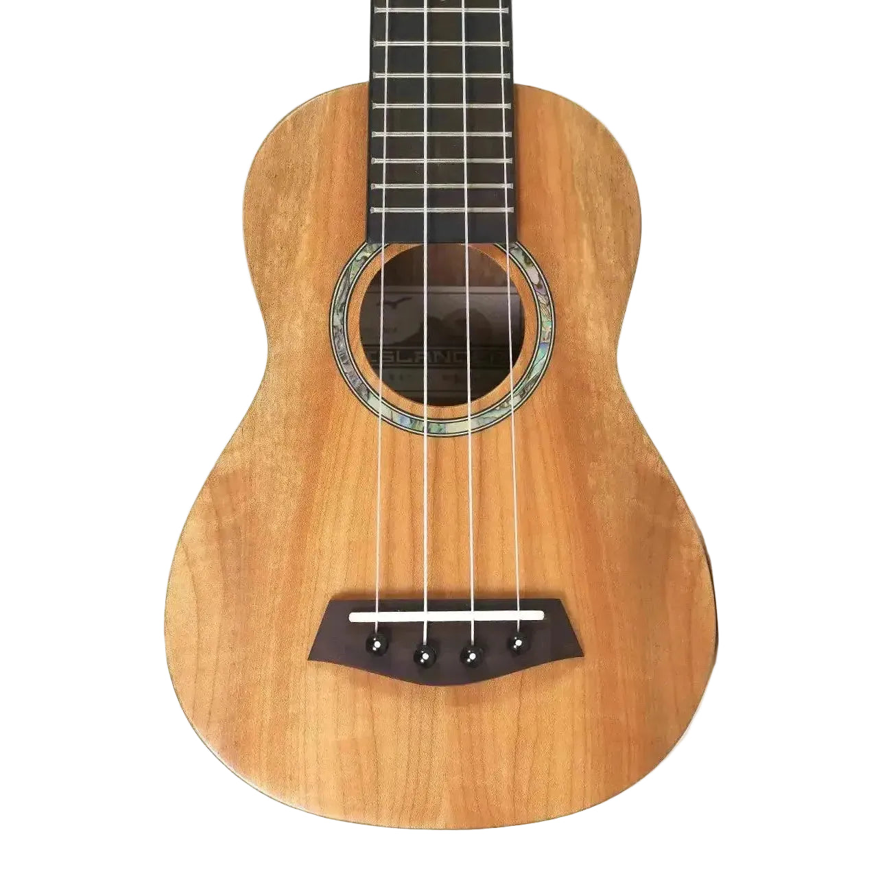 MAS-4-1 | Terry Carter Music Store