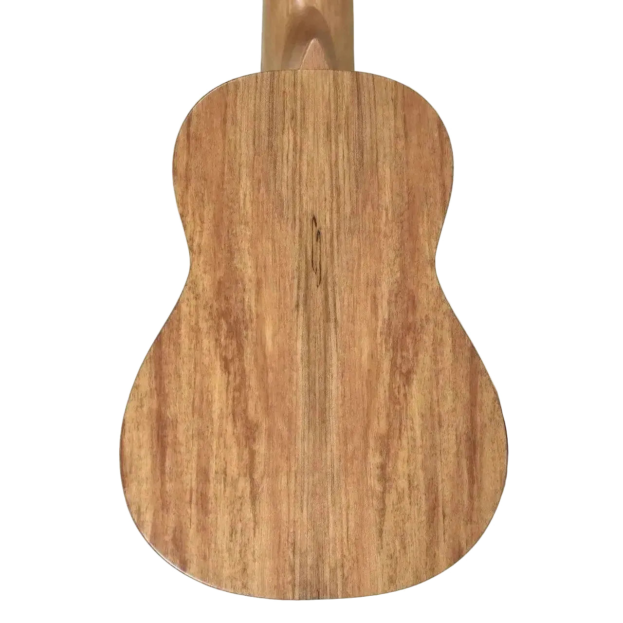 MAS-4-2 | Terry Carter Music Store