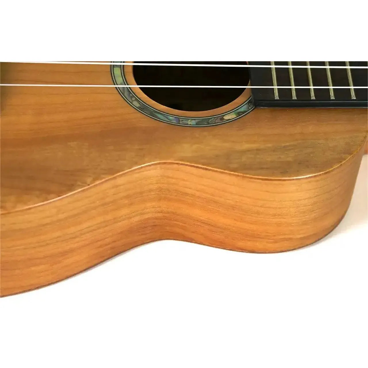 MAS-4-3 | Terry Carter Music Store