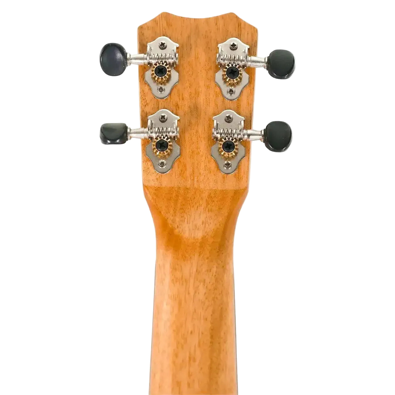 MAS-4-6 | Terry Carter Music Store