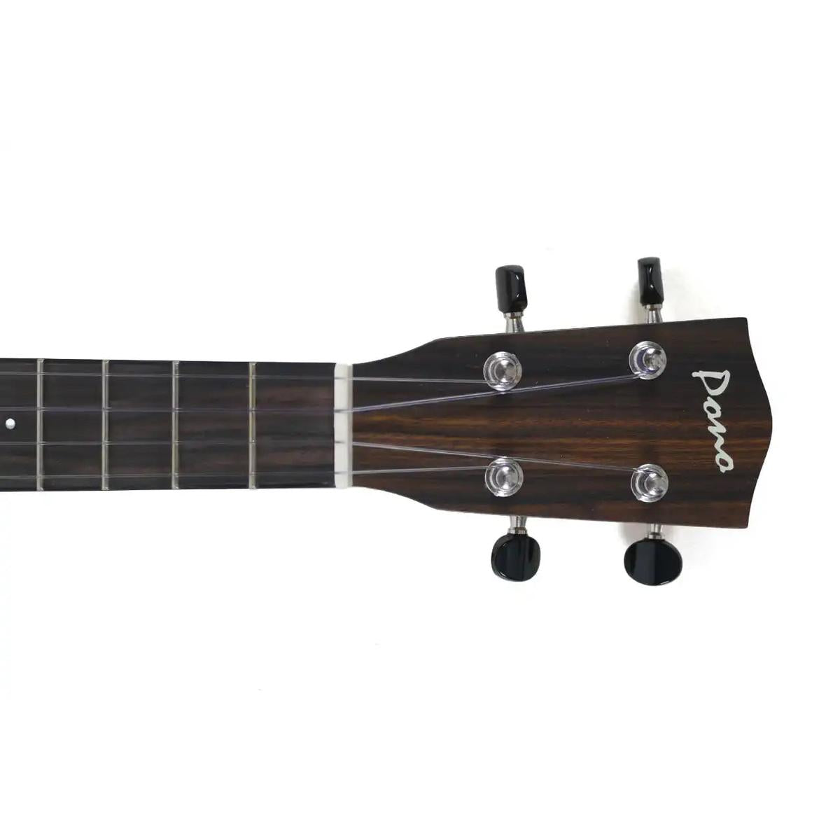 MGTP-2 | Terry Carter Music Store