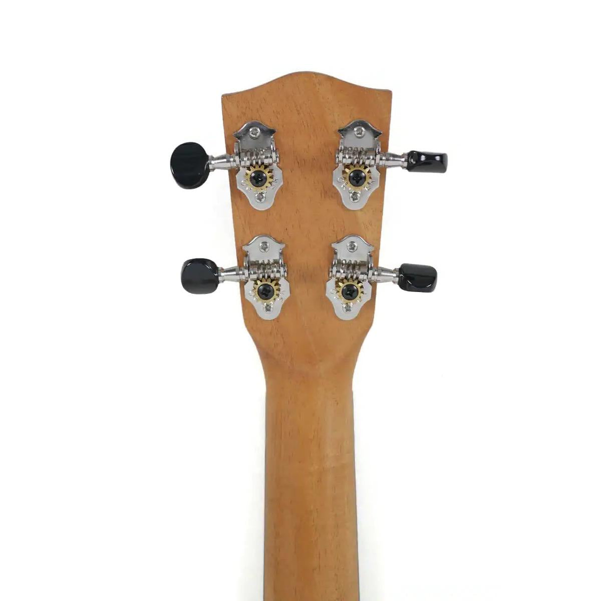 MGTP-4 | Terry Carter Music Store