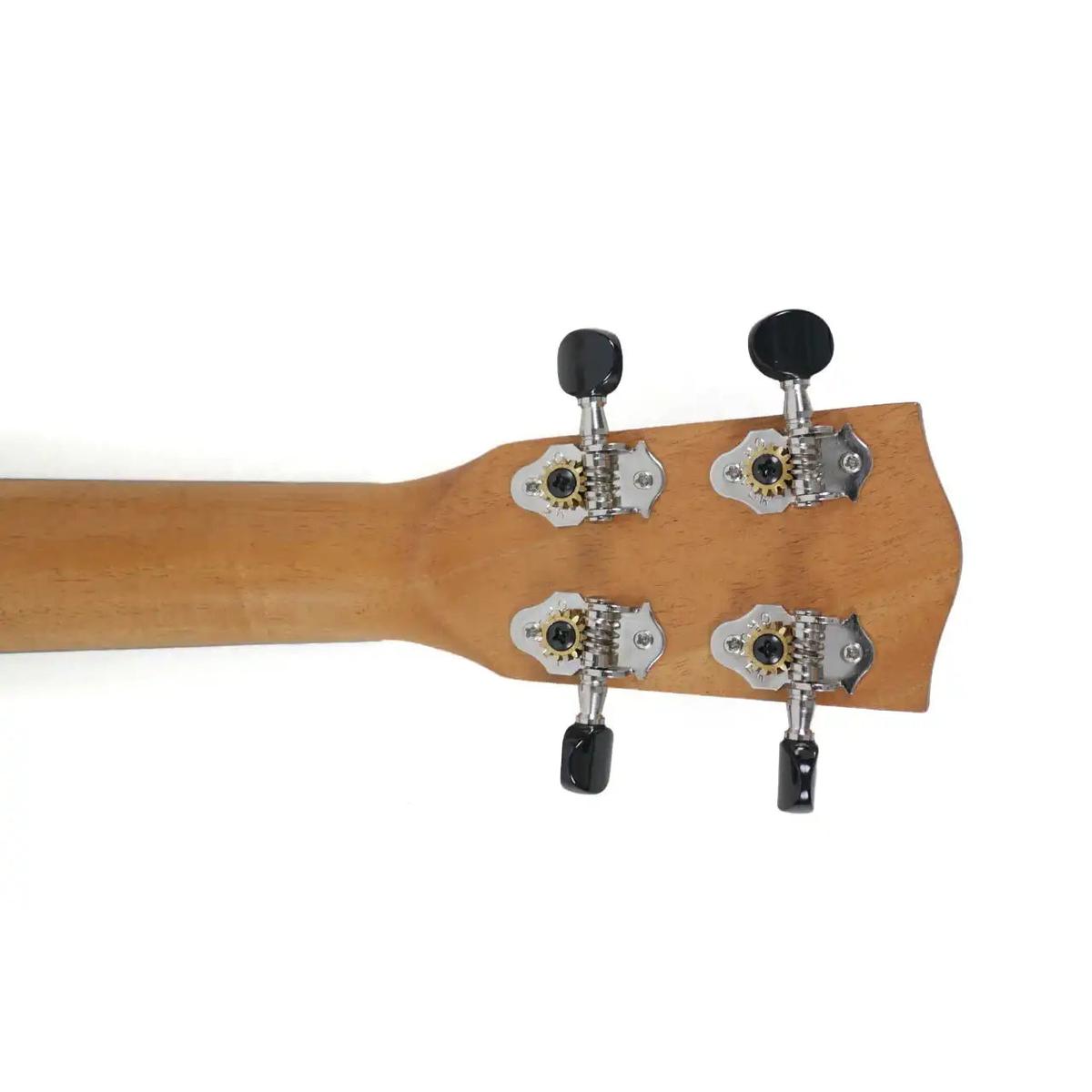 MGTP-4 | Terry Carter Music Store