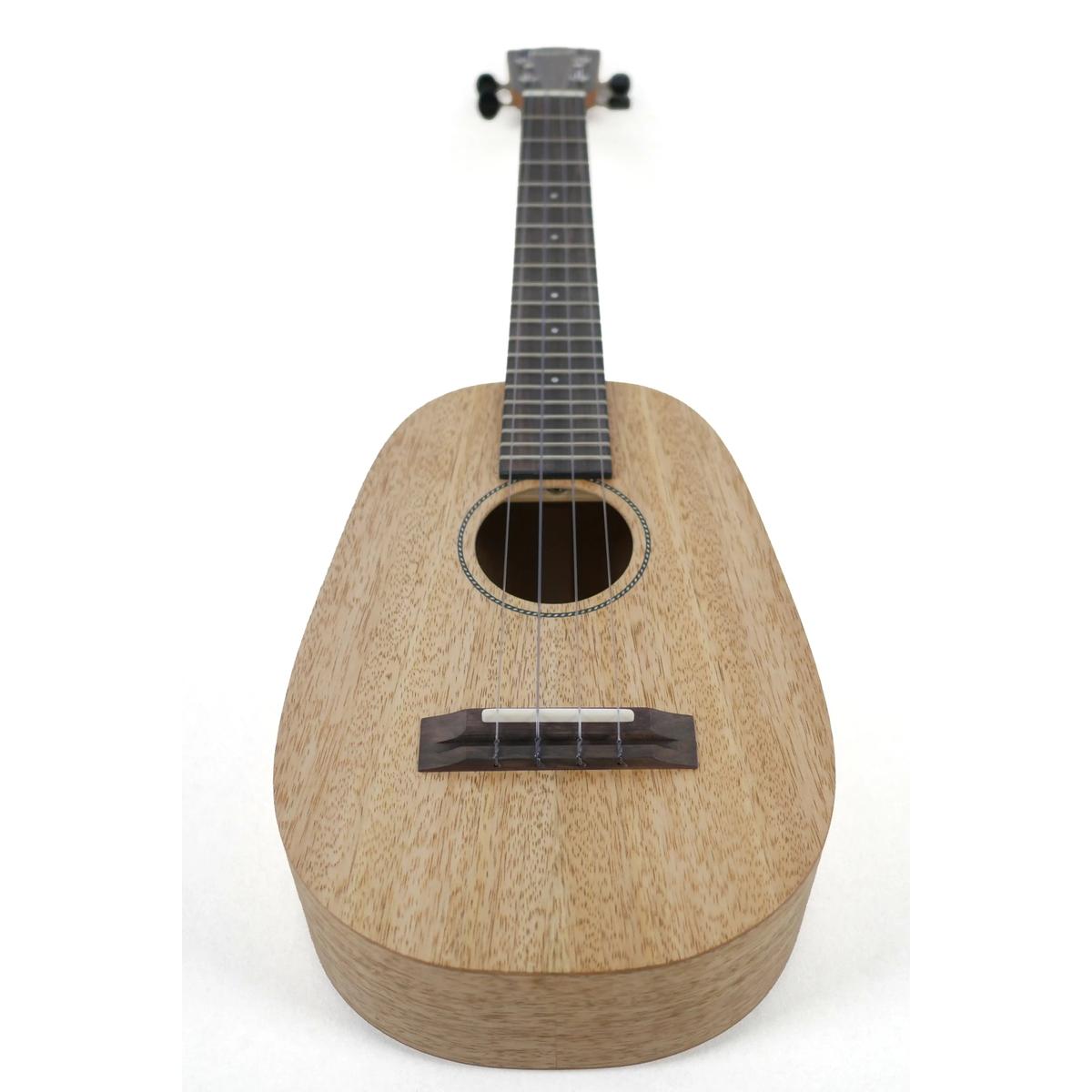 MGTP-6 | Terry Carter Music Store