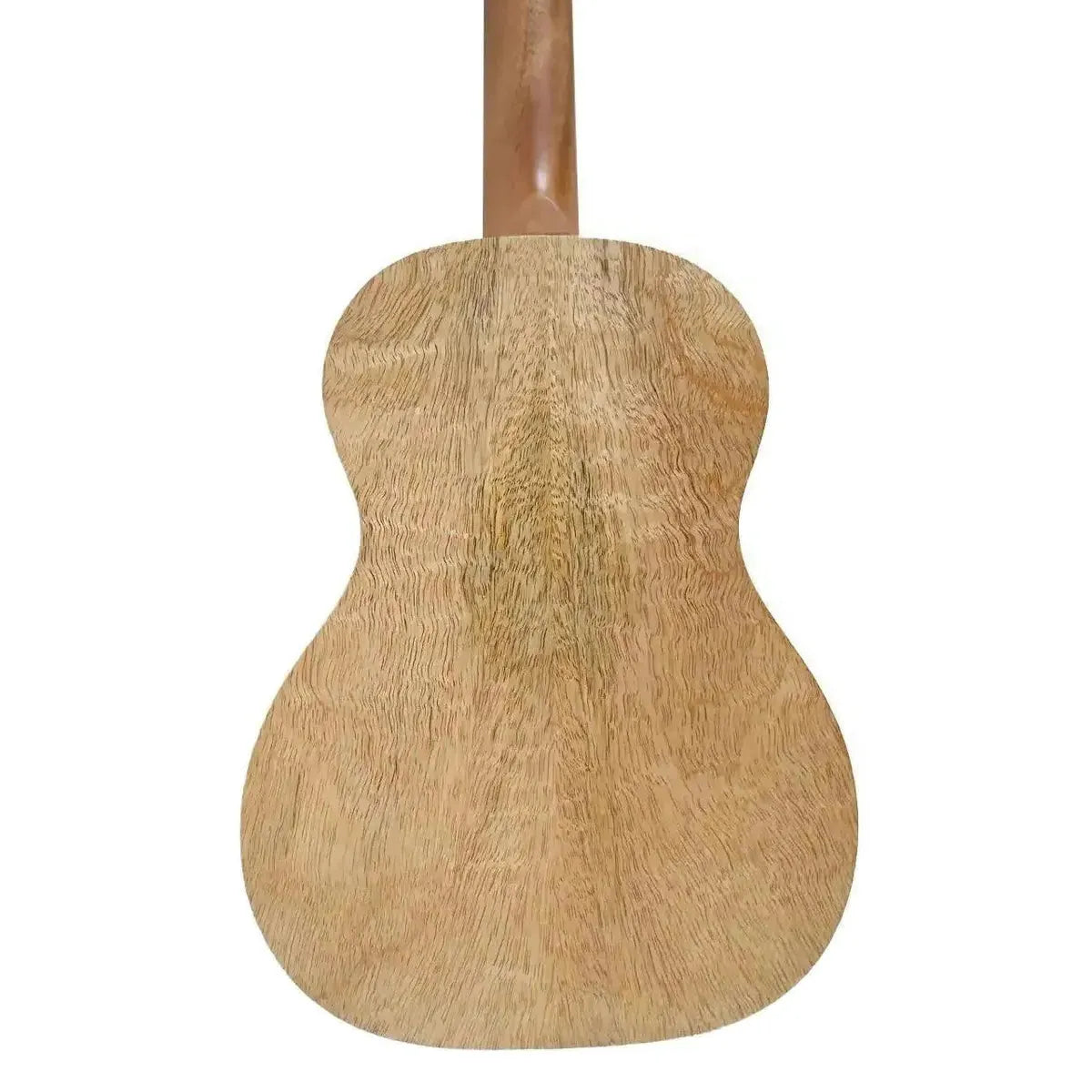 MGT_K_2_2 | Terry Carter Music Store