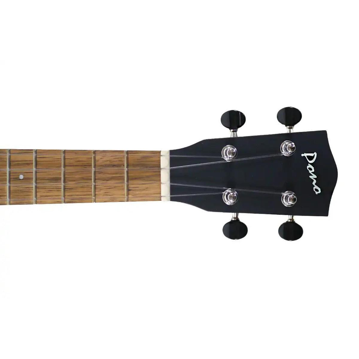 MGT_K_2_cdac4b3b-9dc9-4886-aa9a-9396f6813dbb | Terry Carter Music Store