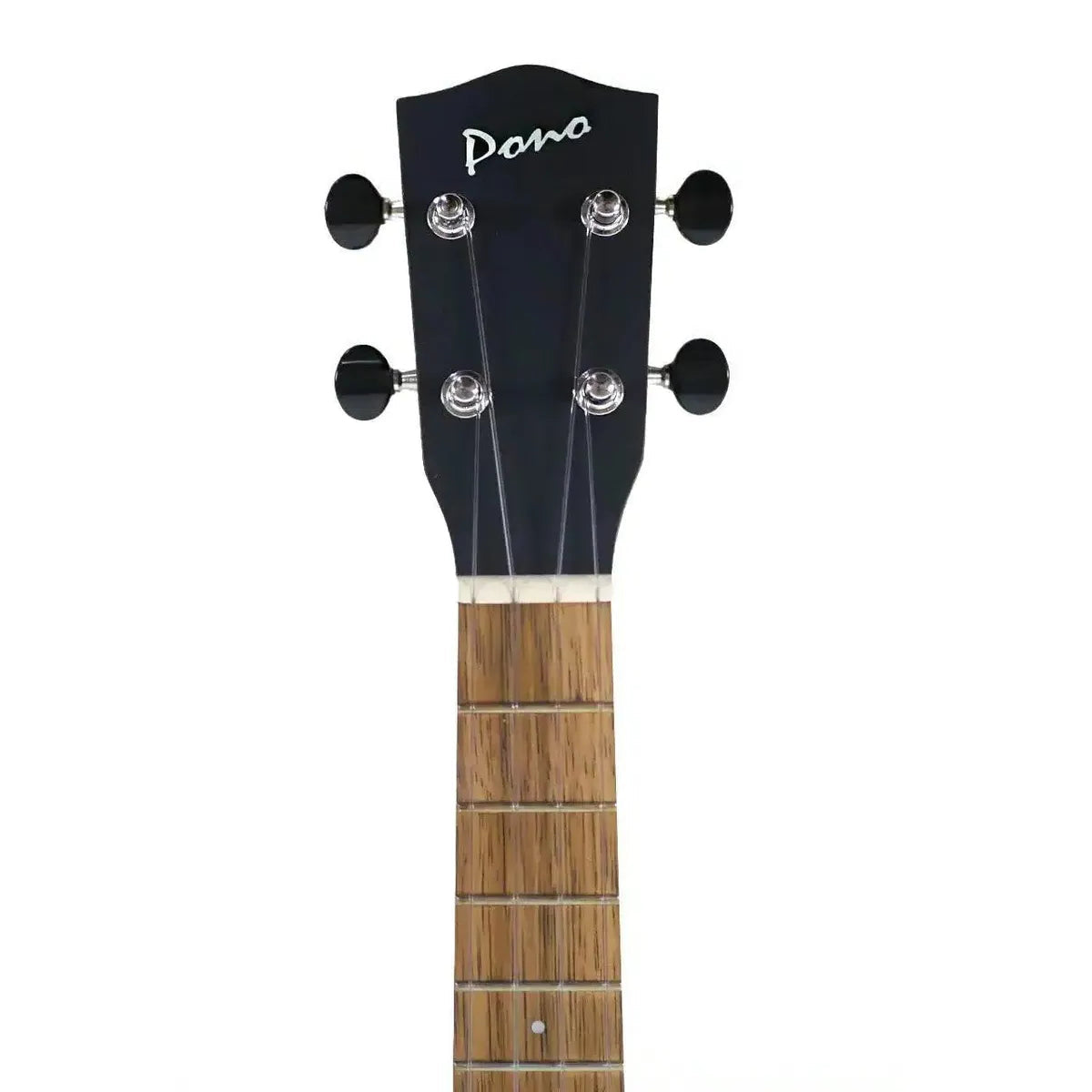 MGT_K_2_cdac4b3b-9dc9-4886-aa9a-9396f6813dbb | Terry Carter Music Store