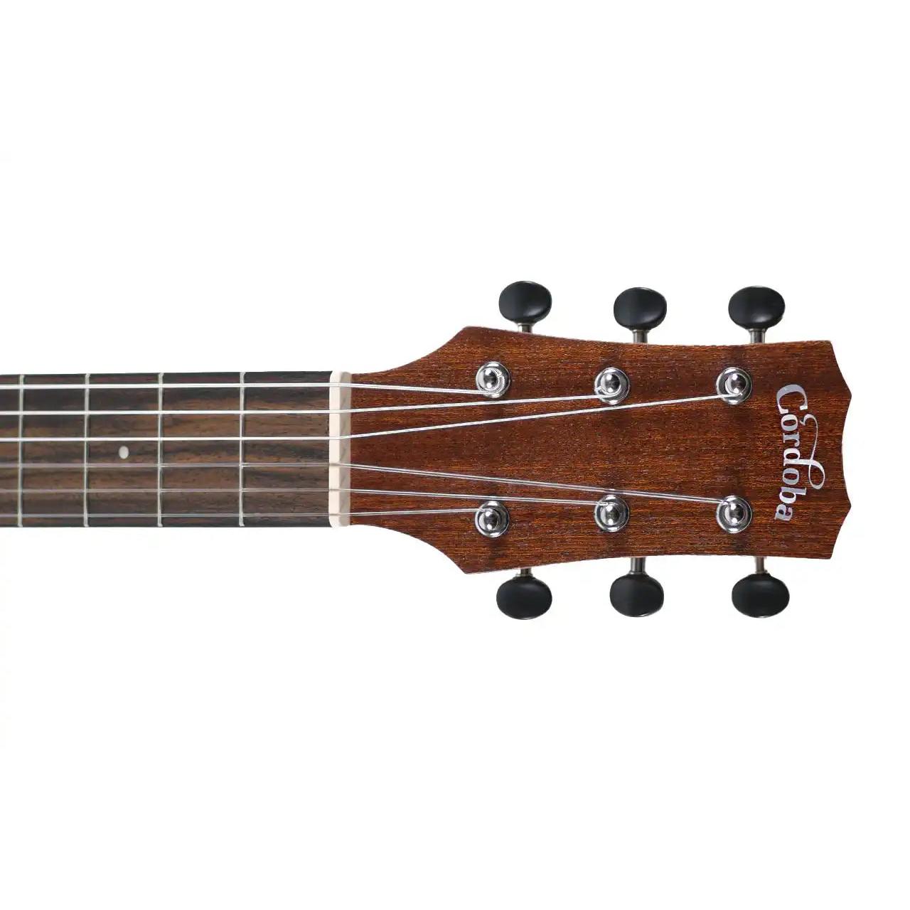 MINI_II_MH_CE_2 | Terry Carter Music Store