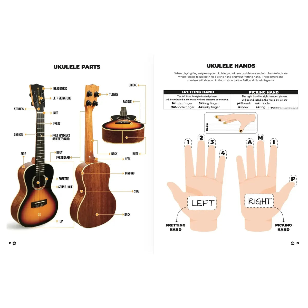 MU1_internals1-2025 | Terry Carter Music Store