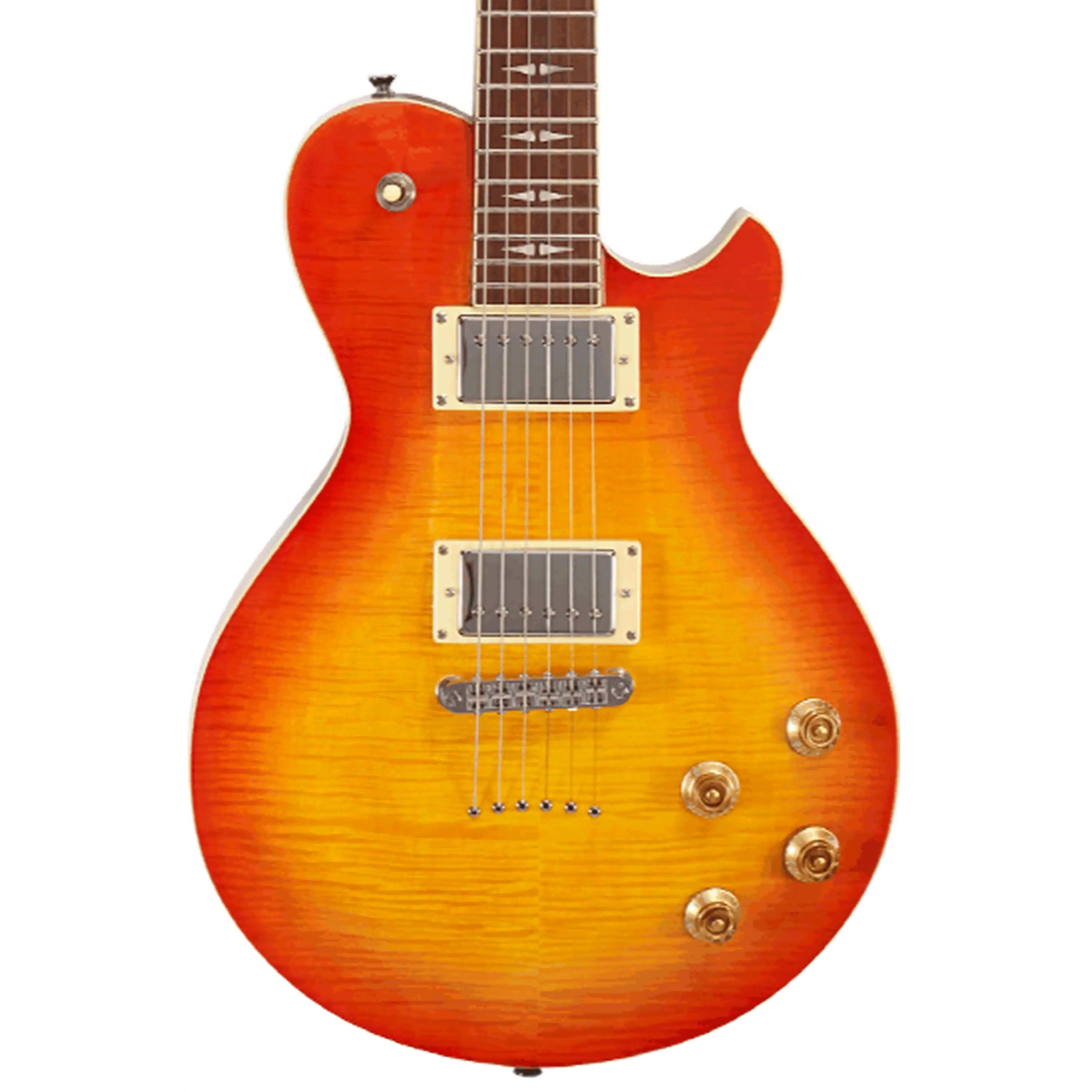 Michael-Kelly-Patriot-Decree-Electric-Guitar2cb | Terry Carter Music Store