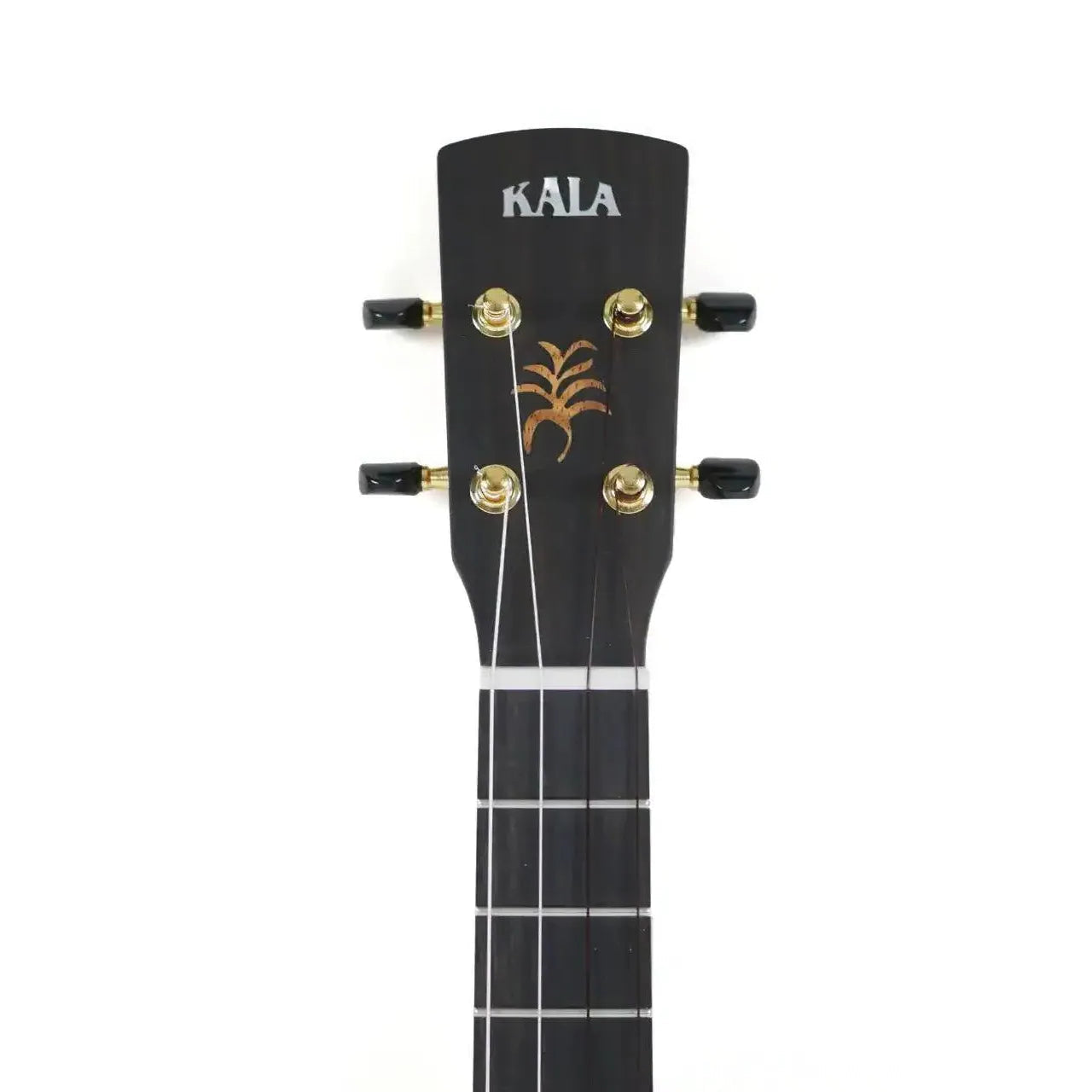 NS-KOA-T-3 | Terry Carter Music Store