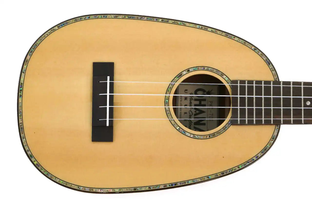 OH-PK-70G-6 | Terry Carter Music Store