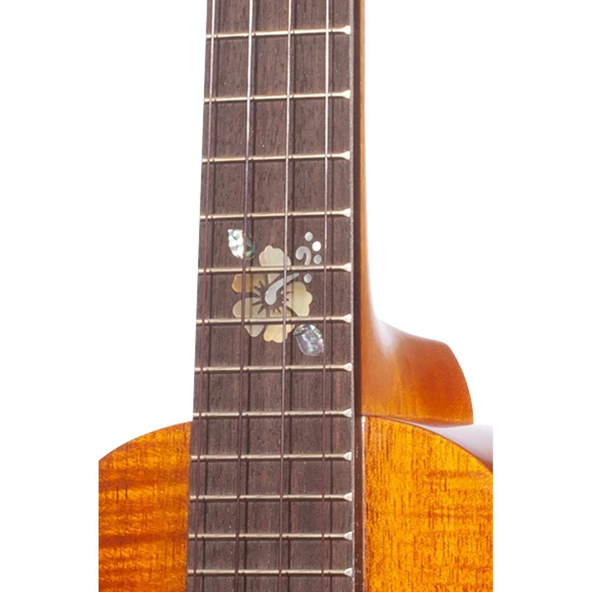 Close-up of a wooden guitar or ukulele fretboard with a floral inlay, showing the dark brown neck and warm orange-brown body against a white background.
