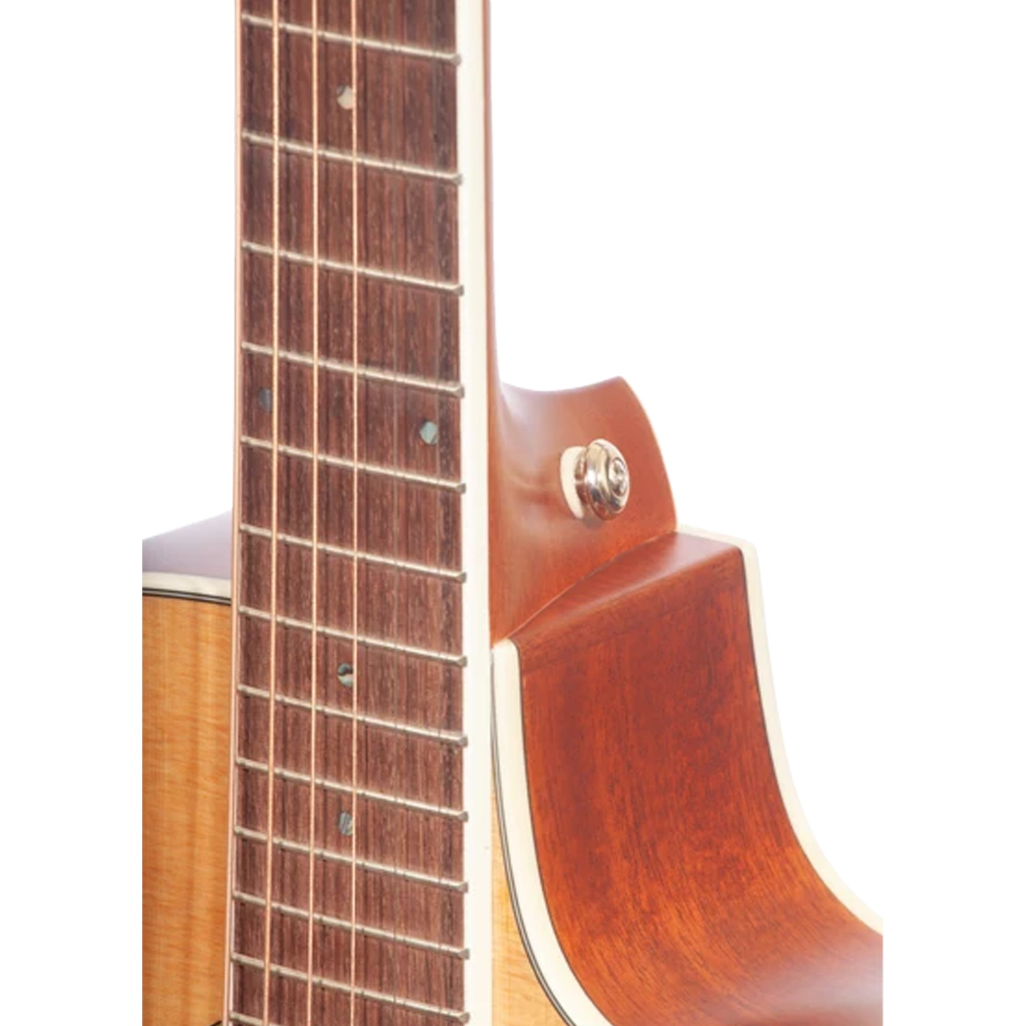Close-up detail of an Ohana GT-3C guitar showing the dark brown fretboard with metal frets, the side cutaway body with a gold-toned tuning peg, and the natural wood grain on a white background.