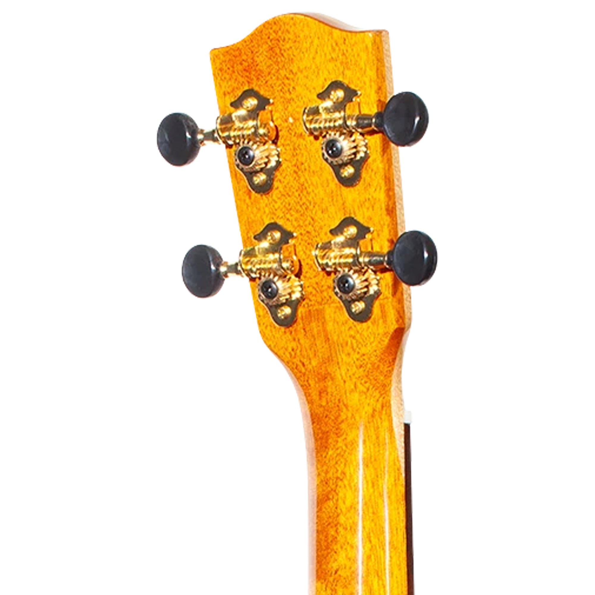 Close-up of the headstock of a wooden stringed instrument, showing four gold tuning pegs with black knobs on a white background.