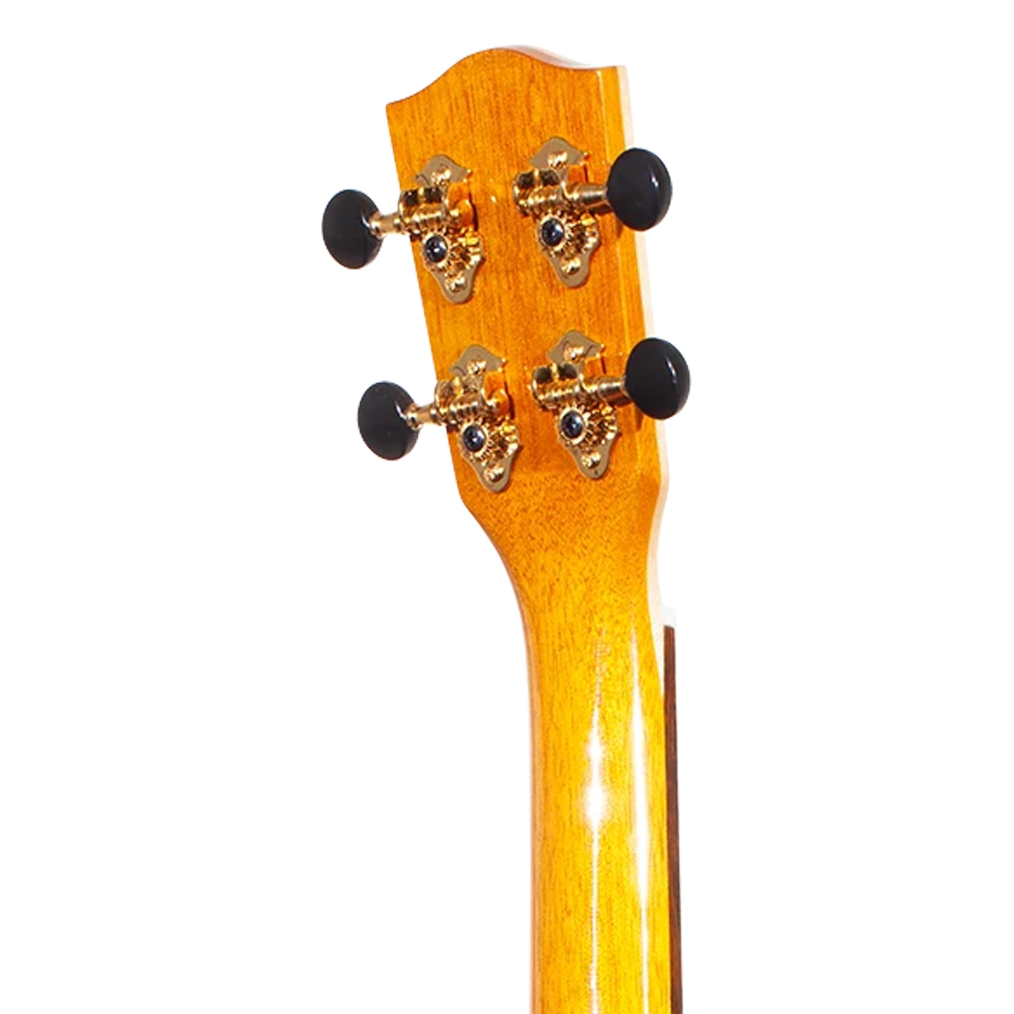 Close-up of the headstock of a wooden stringed instrument, showing four gold-toned tuning pegs with black knobs on a bright wood finish, isolated on a white background.