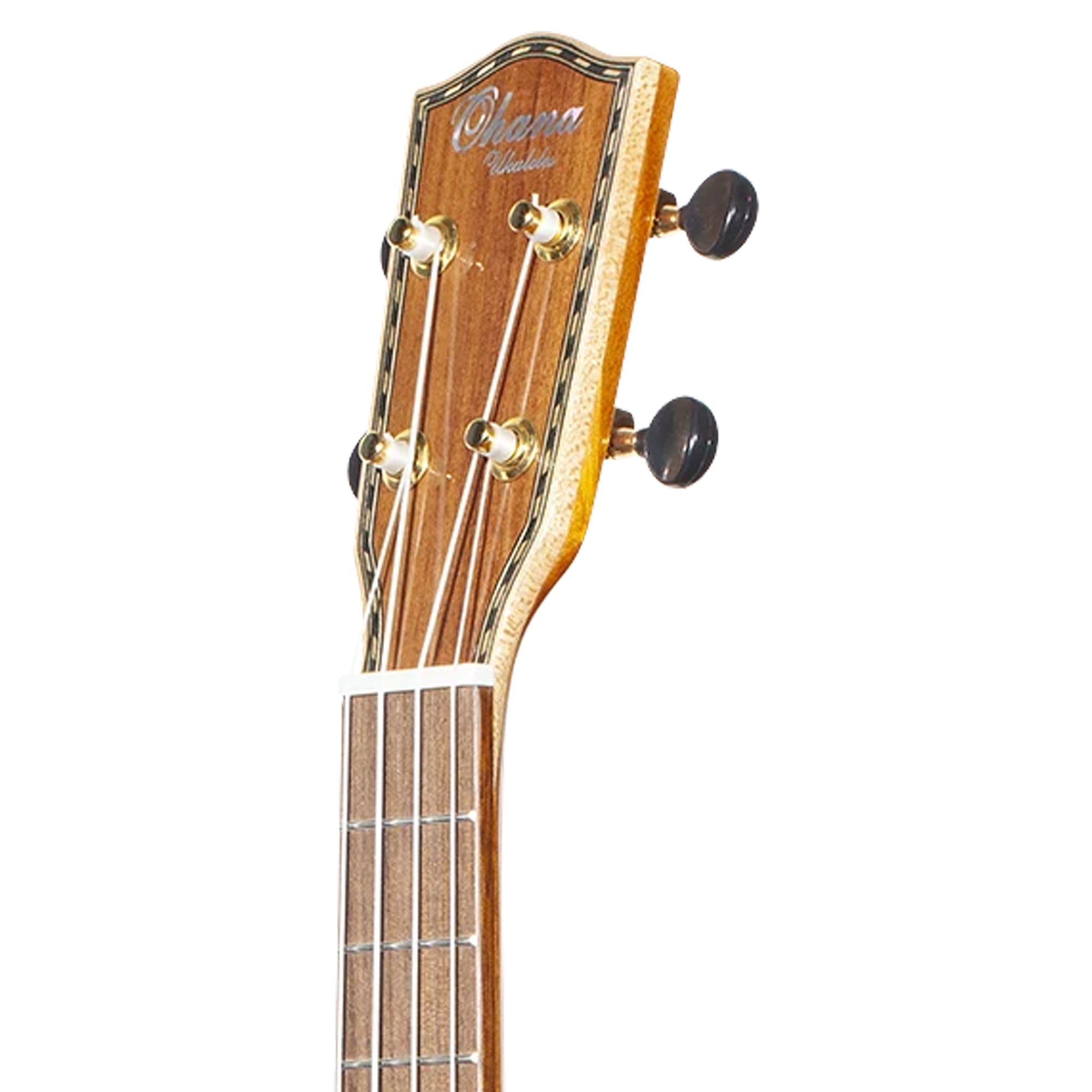 Close-up of a ukulele headstock with six tuning pegs, six strings, and a natural wood finish on a white background.