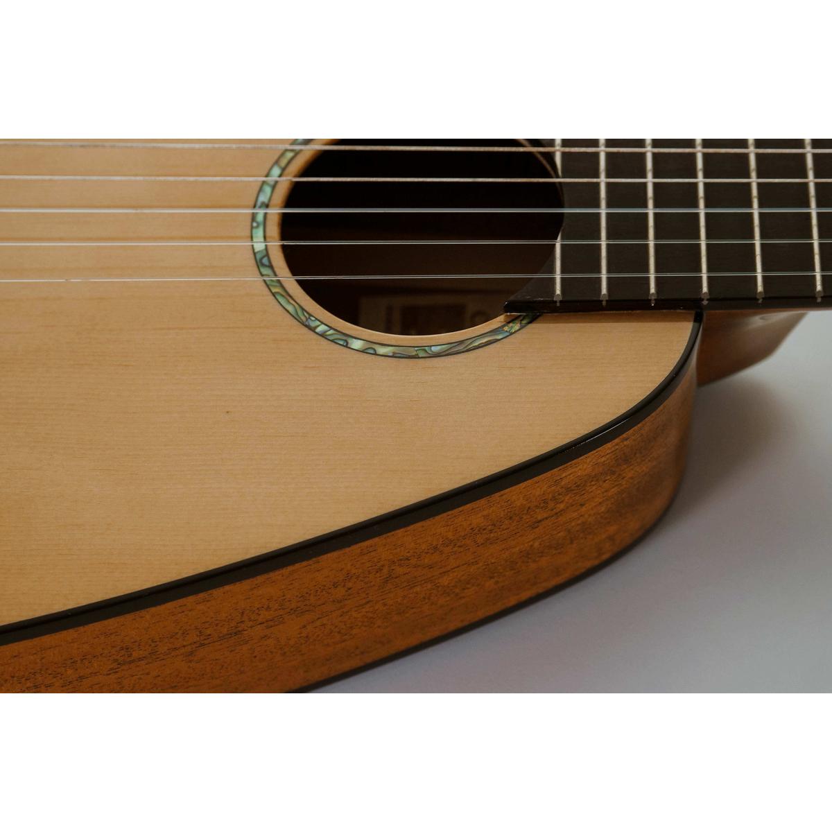 P1966766_43c77e4f-5f35-4c5a-8fdd-1d4f07d69181 | Terry Carter Music Store