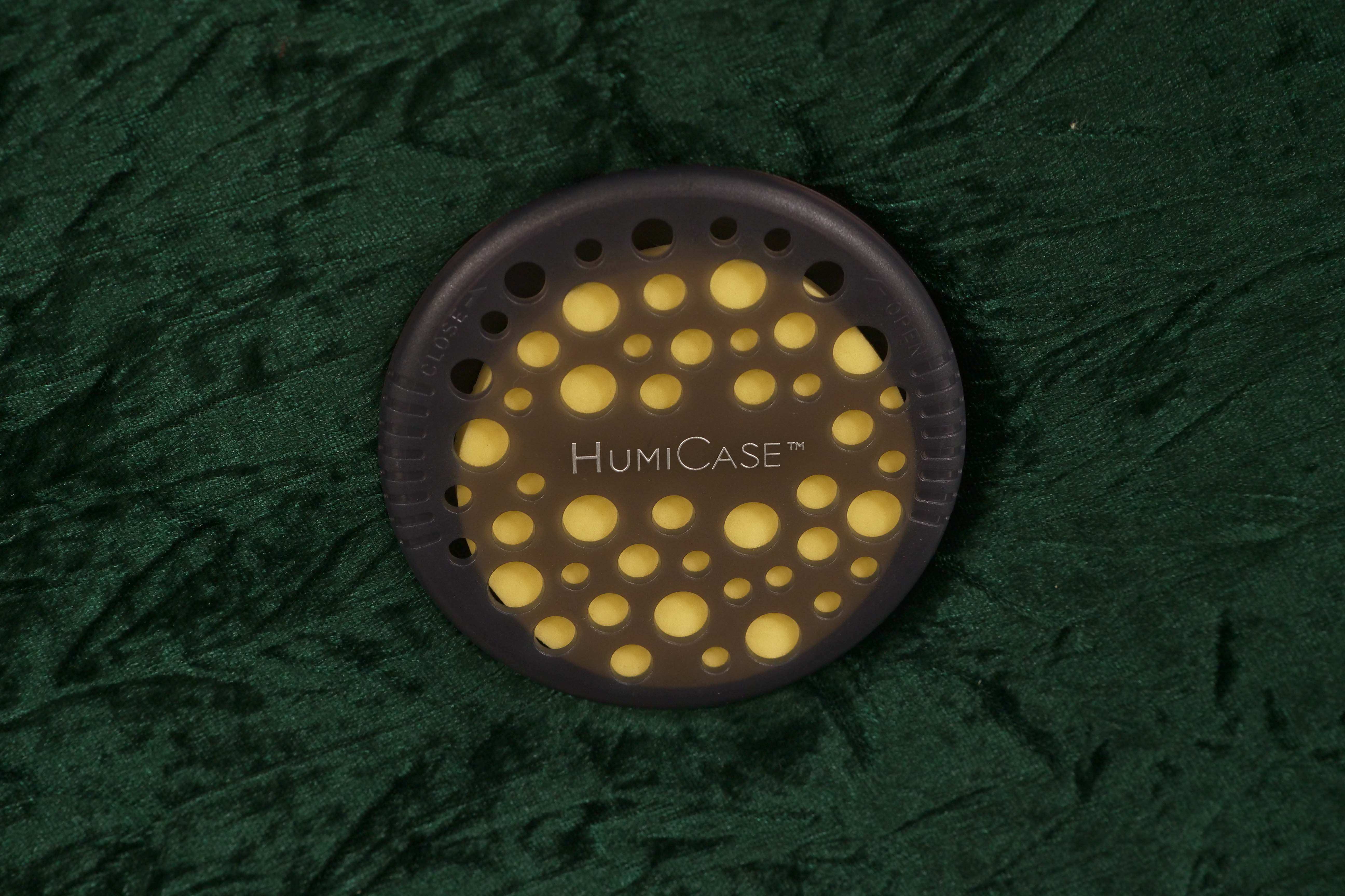 P1988548 | Terry Carter Music Store