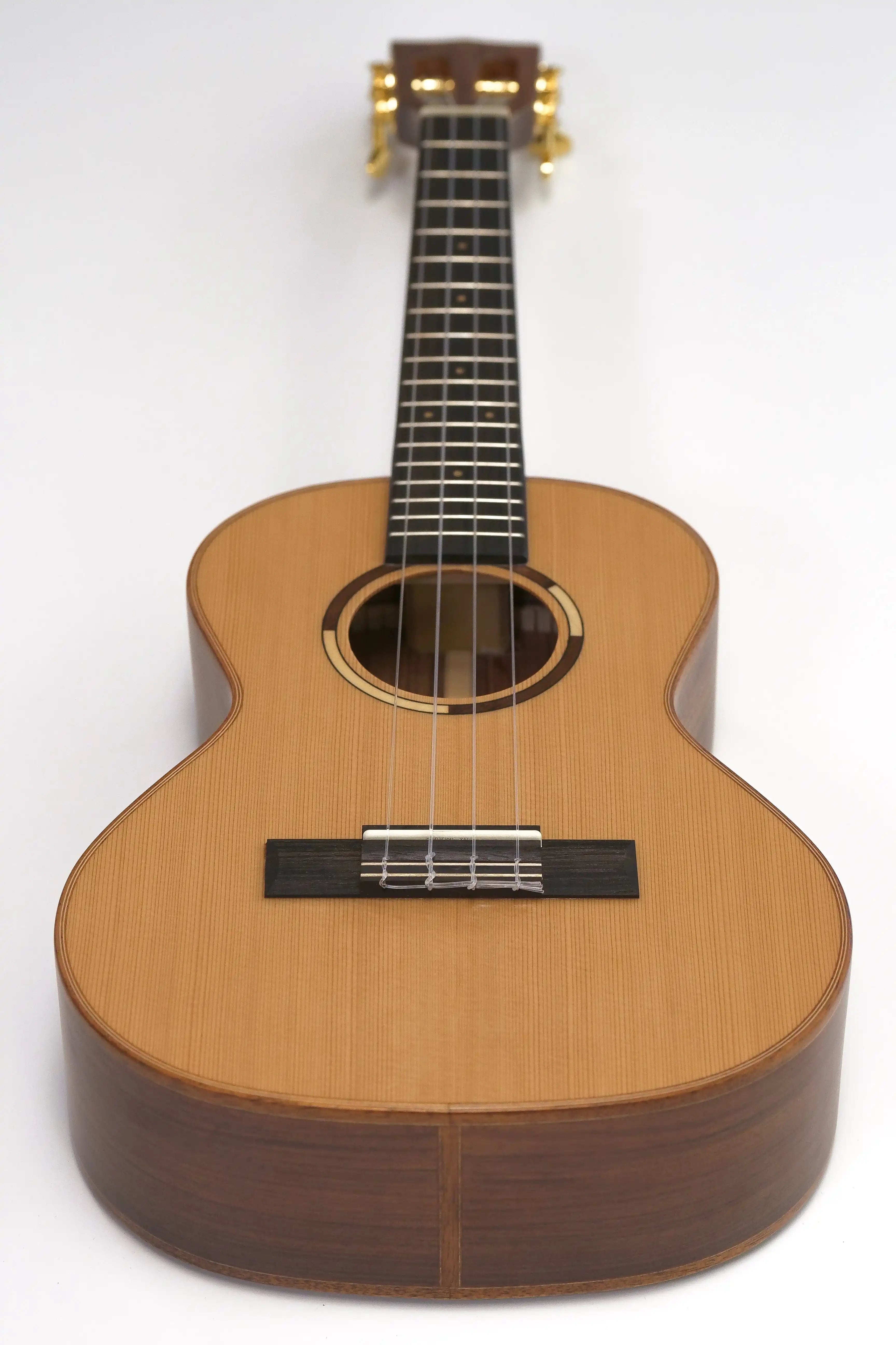 P1999649 | Terry Carter Music Store