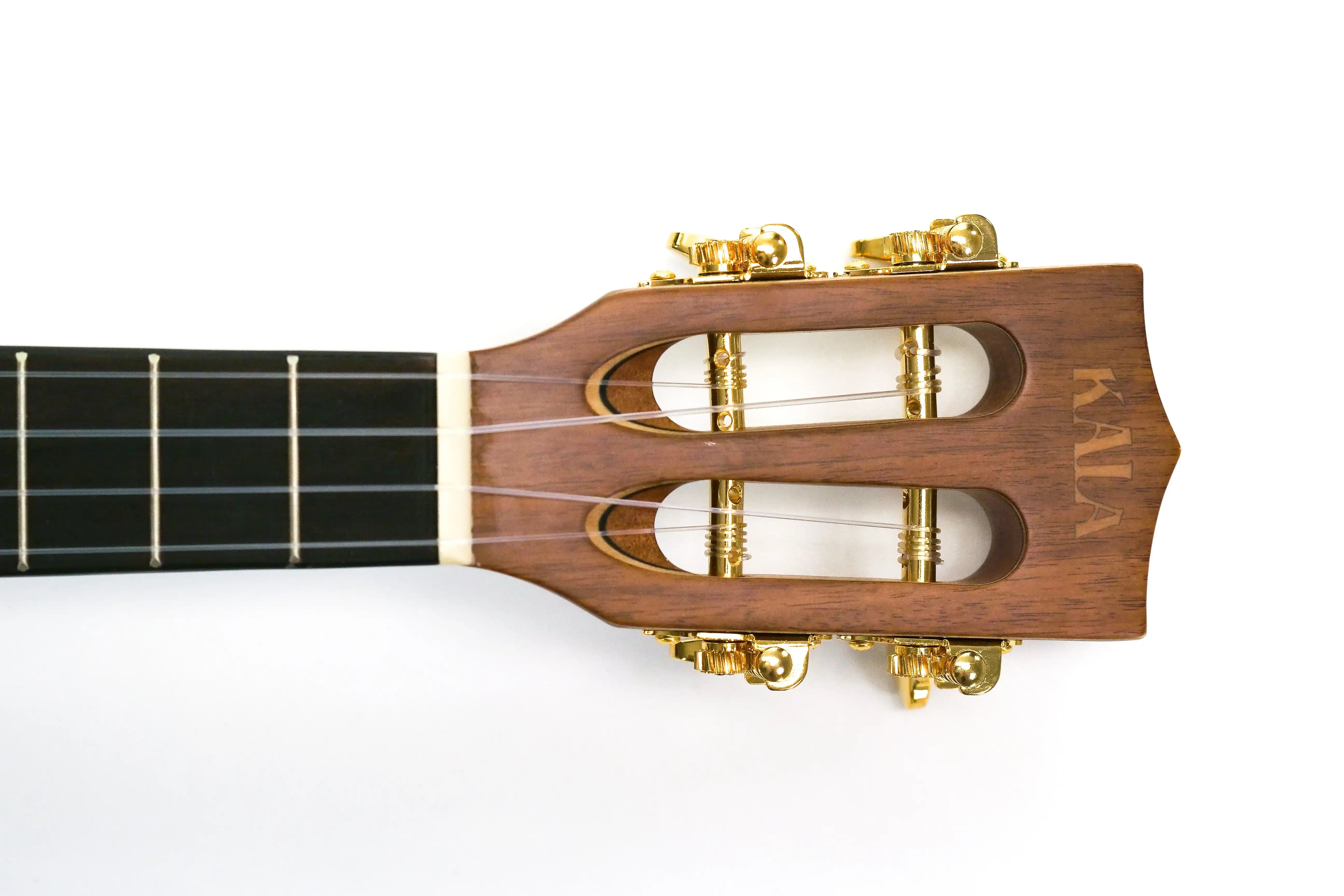 P1999652 | Terry Carter Music Store