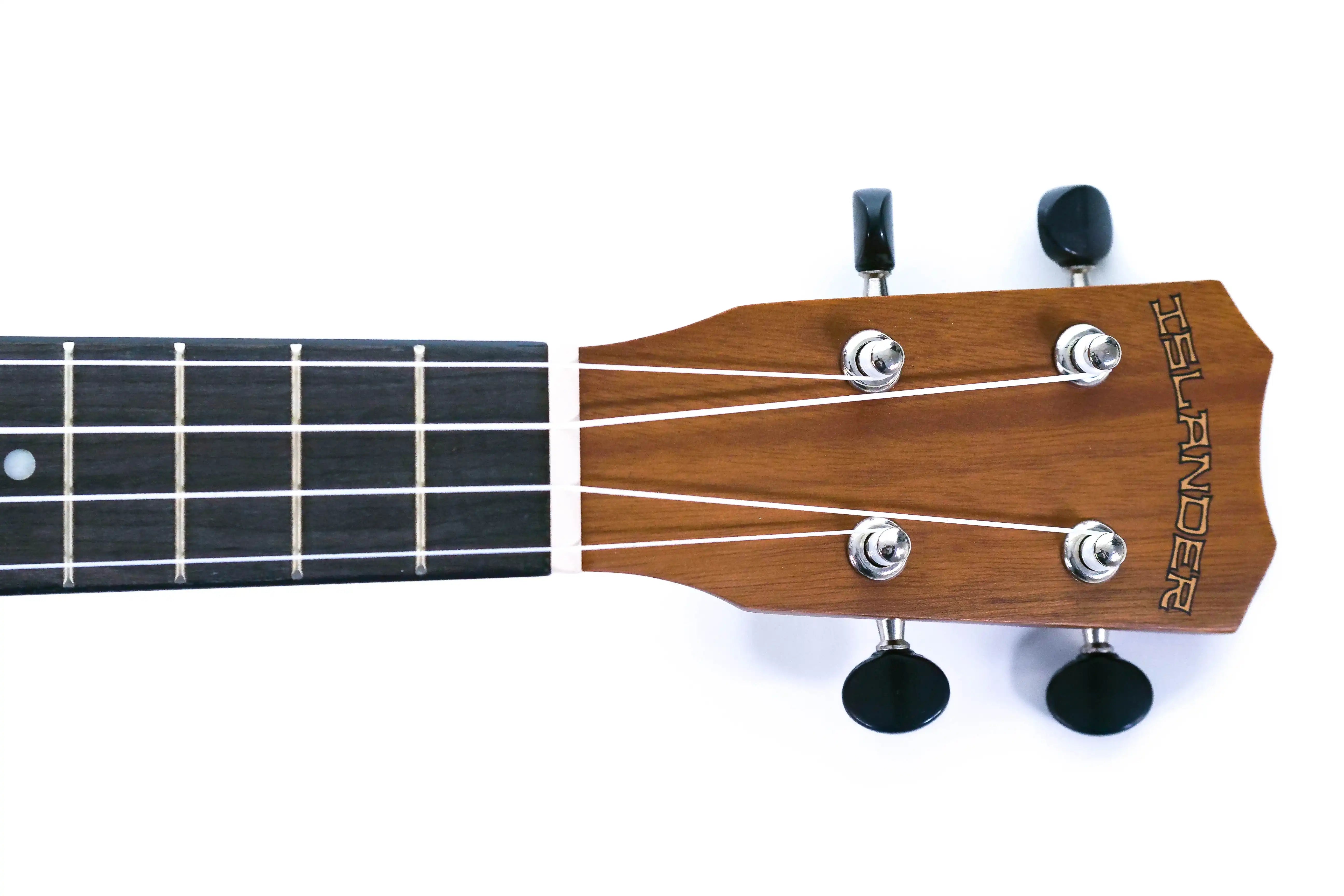 P2011207 | Terry Carter Music Store