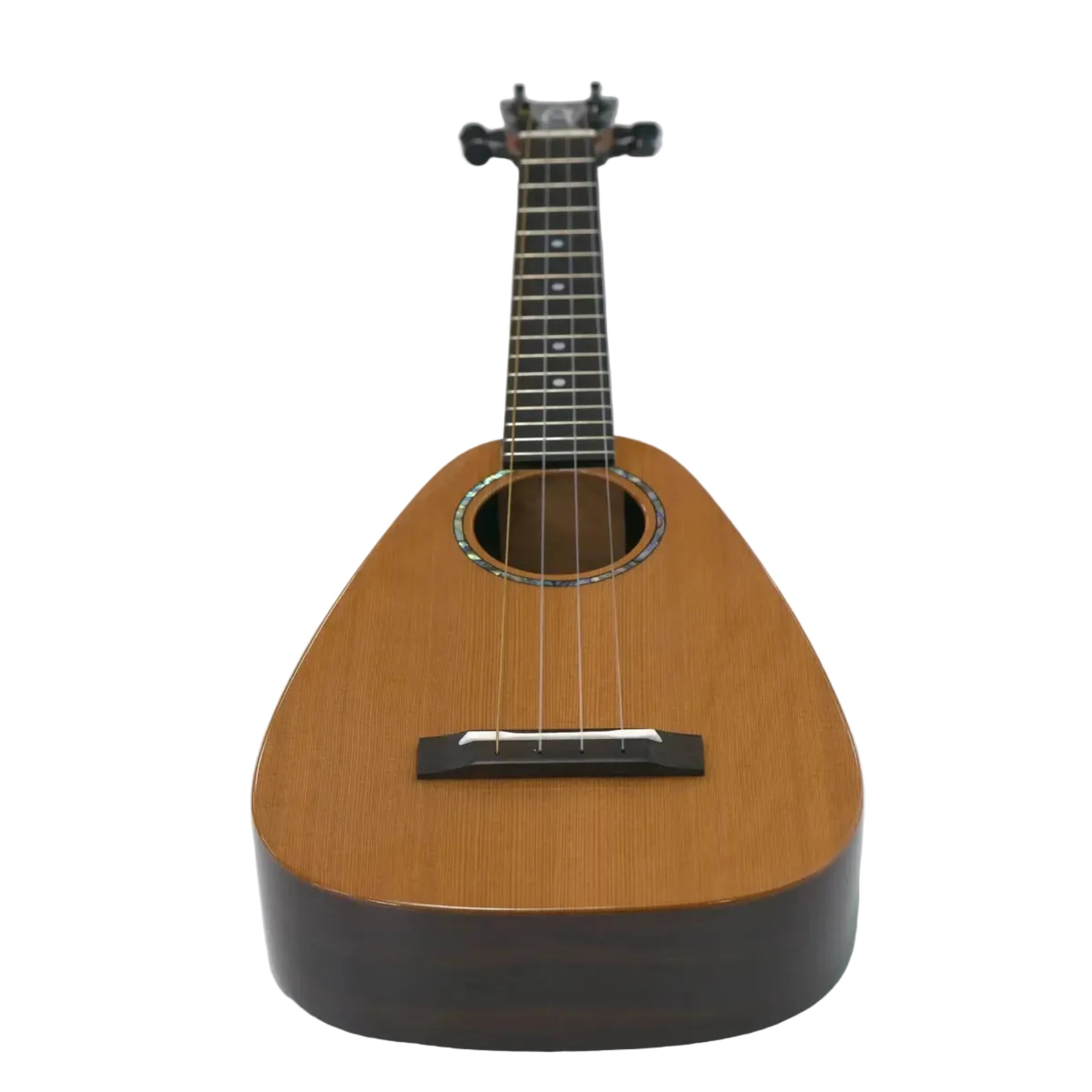 P2022731 | Terry Carter Music Store